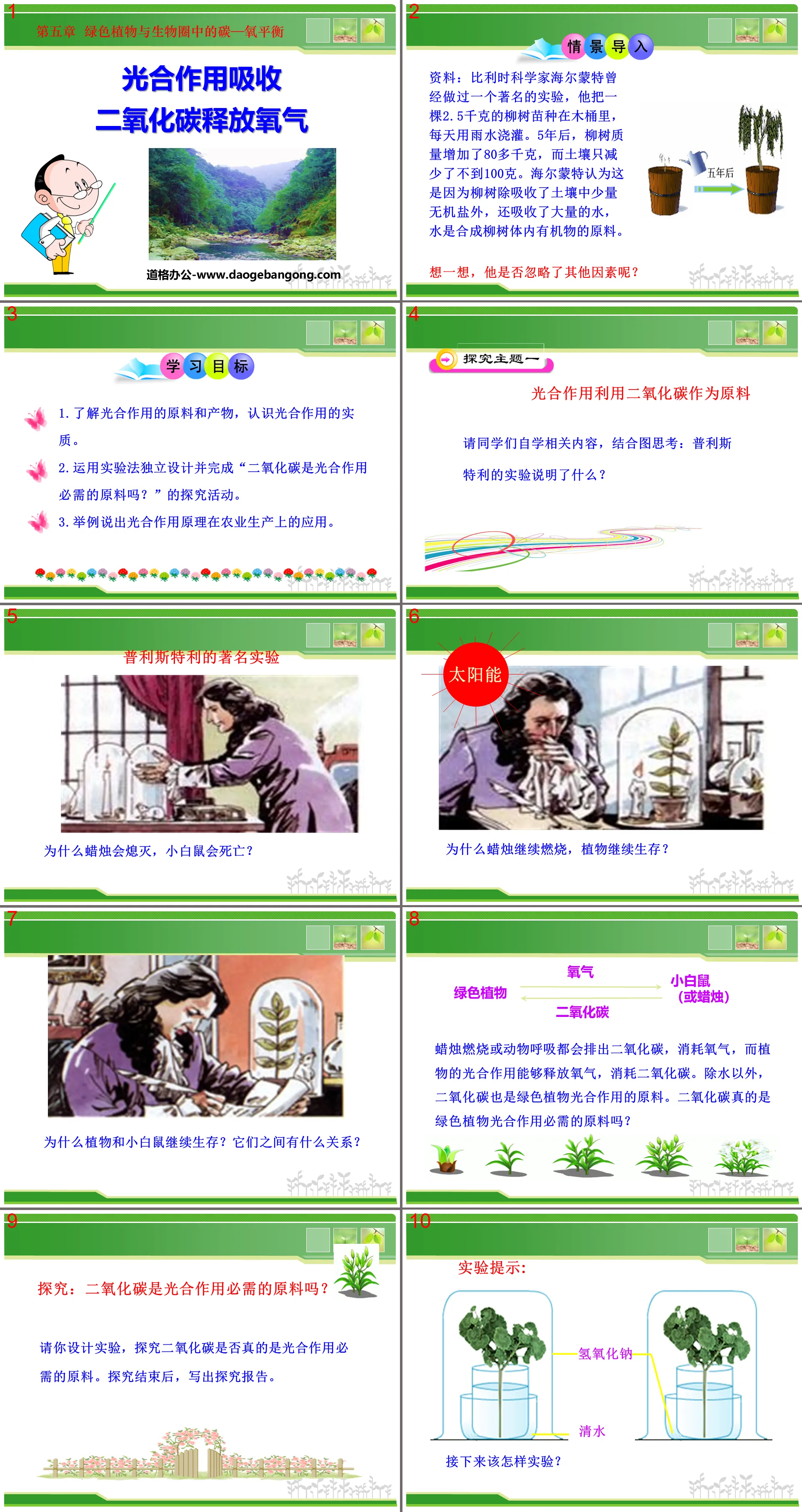 《光合作用吸收二氧化碳釋放氧氣》綠色植物與生物圈中碳-氧平衡PPT課程