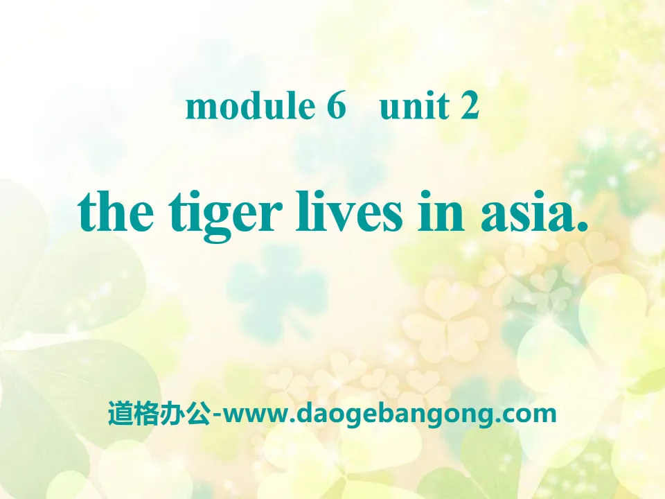 《The tiger lives in Asia》PPT课件4
