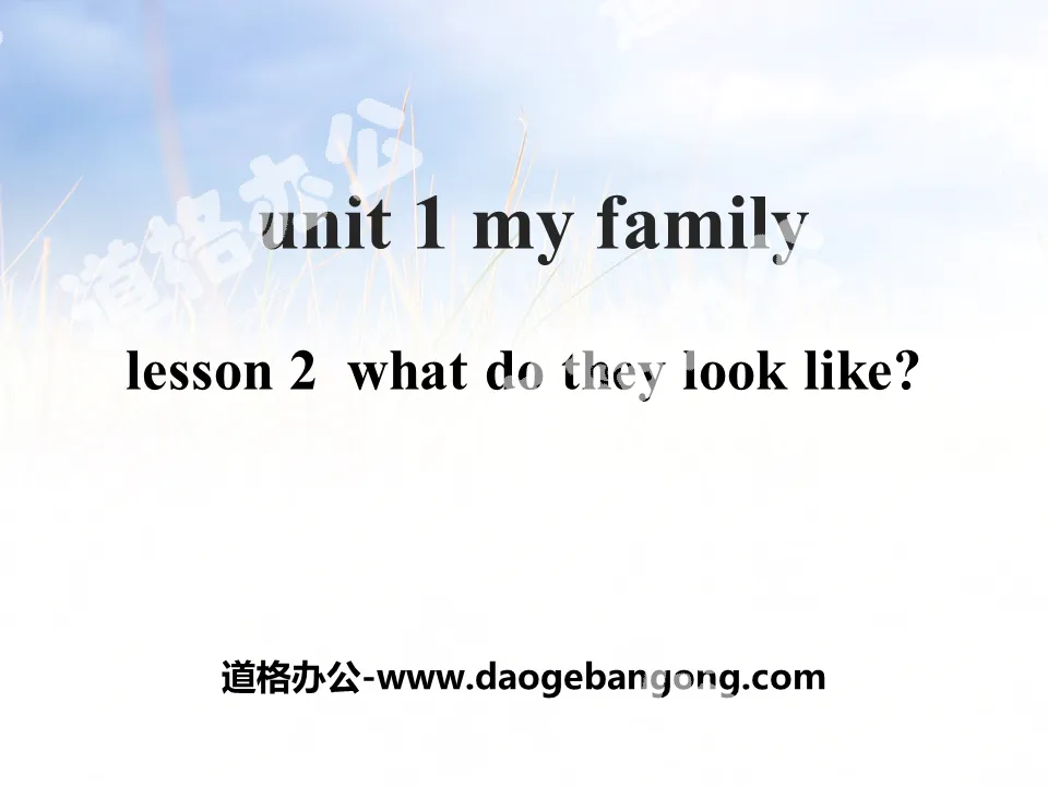 "What Do They Look Like?" My Family PPT courseware