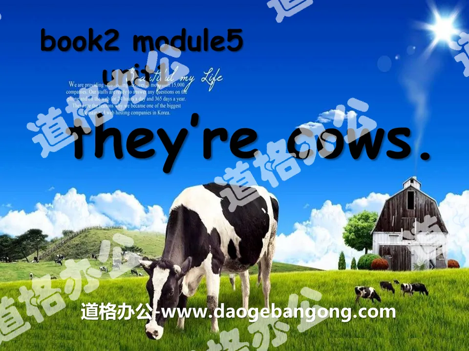 "They're cows" PPT courseware 2