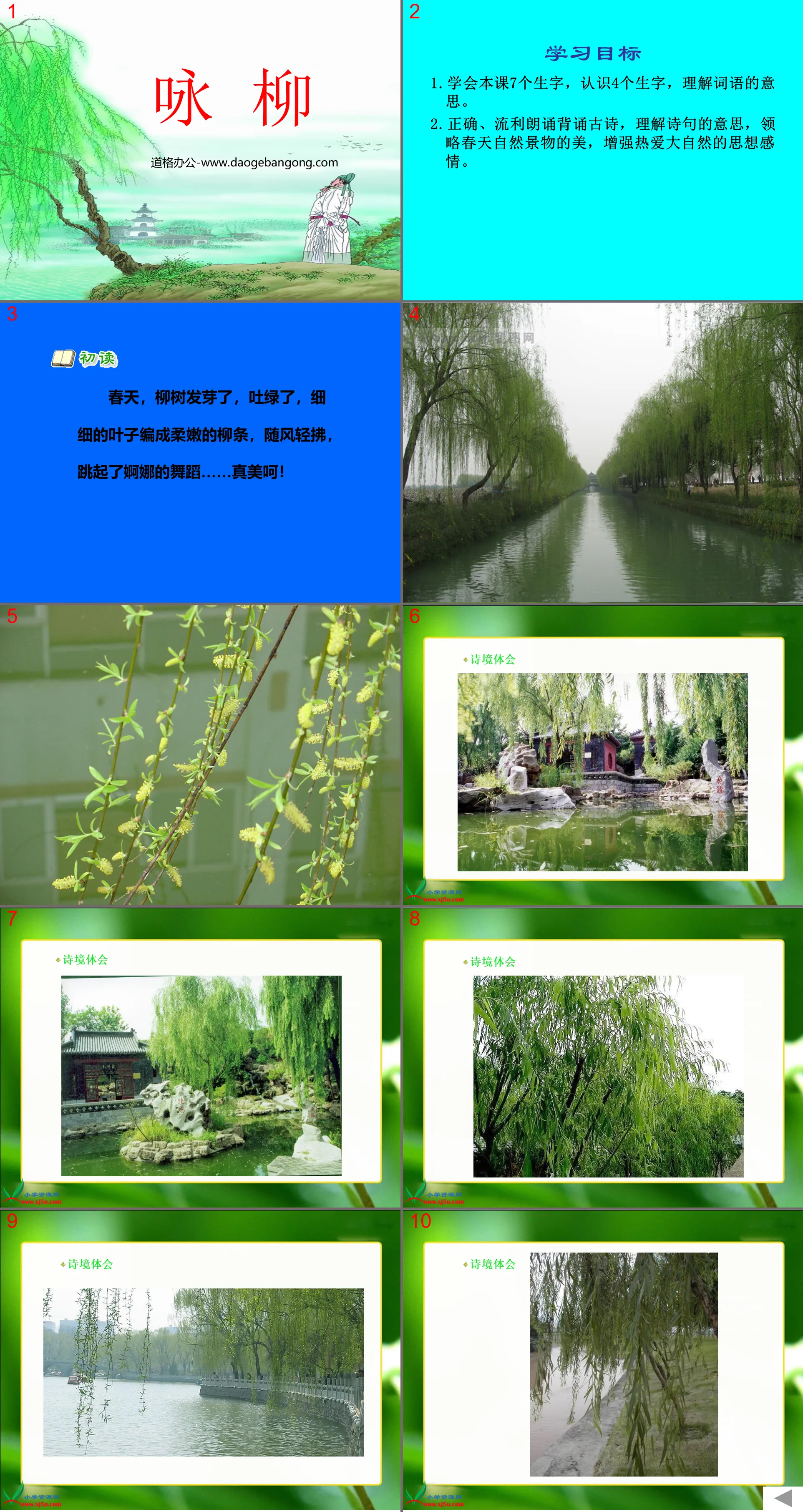 "Yong Willow" PPT courseware 3