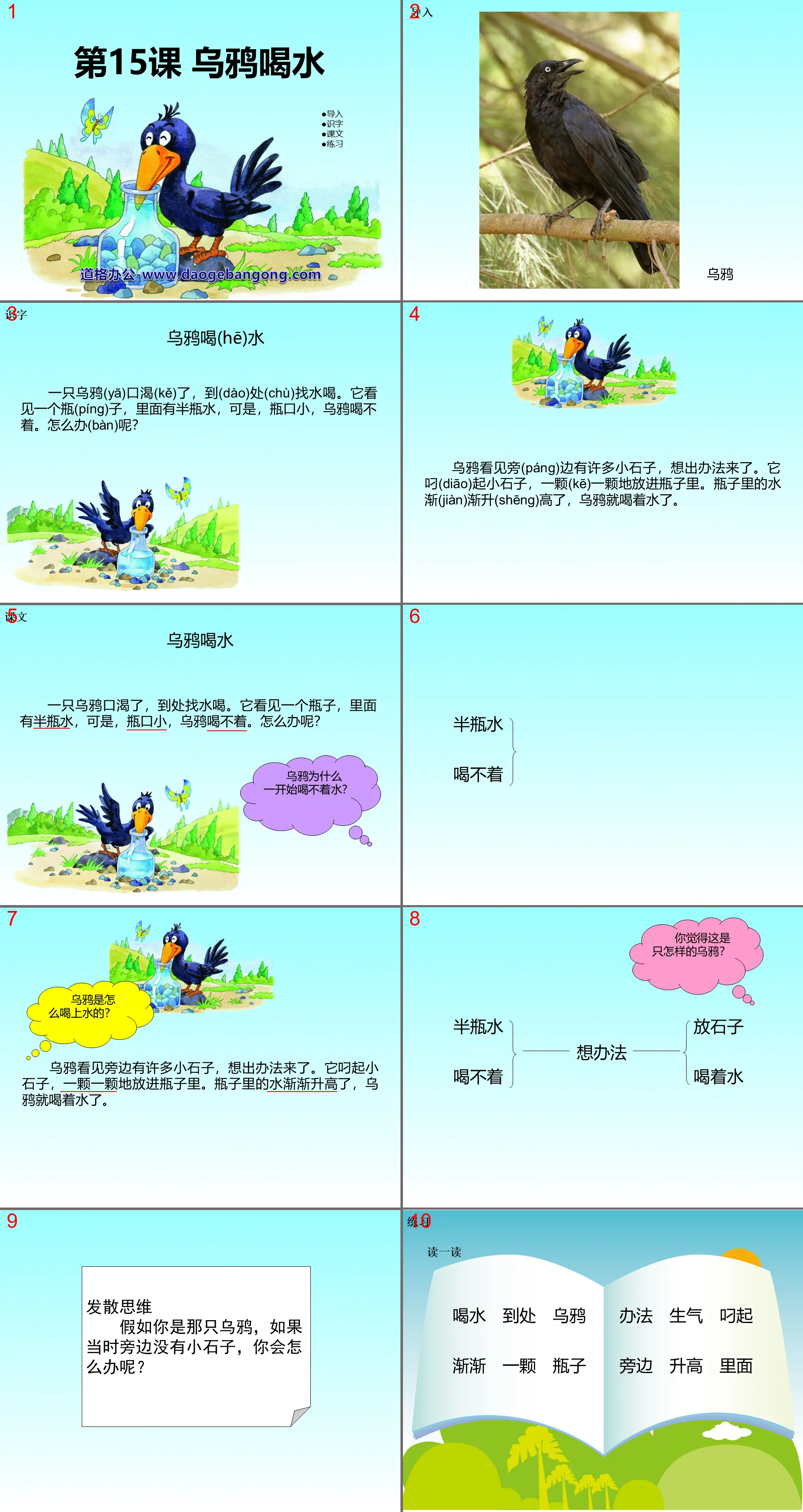 "Crow Drinking Water" PPT Courseware 13