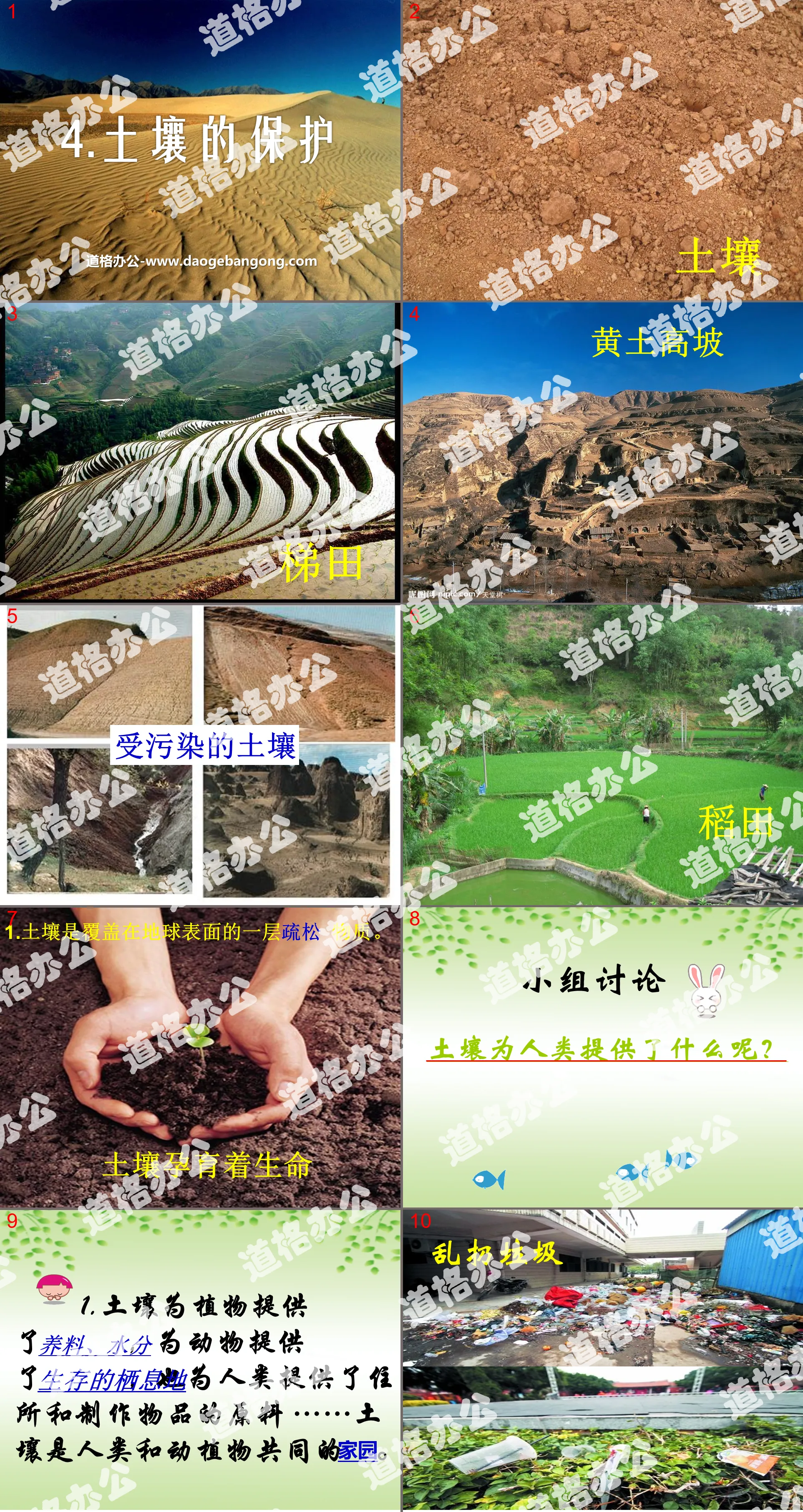 《土壤的保护》植物生活的土地PPT课件
