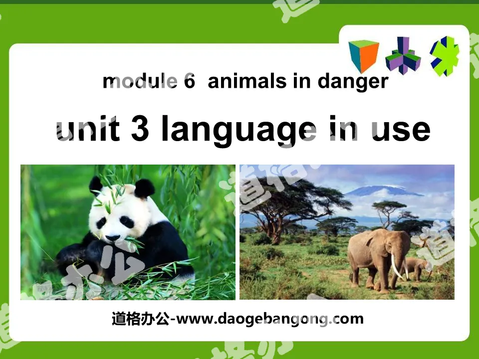 《Language in use》Animals in danger PPT课件
