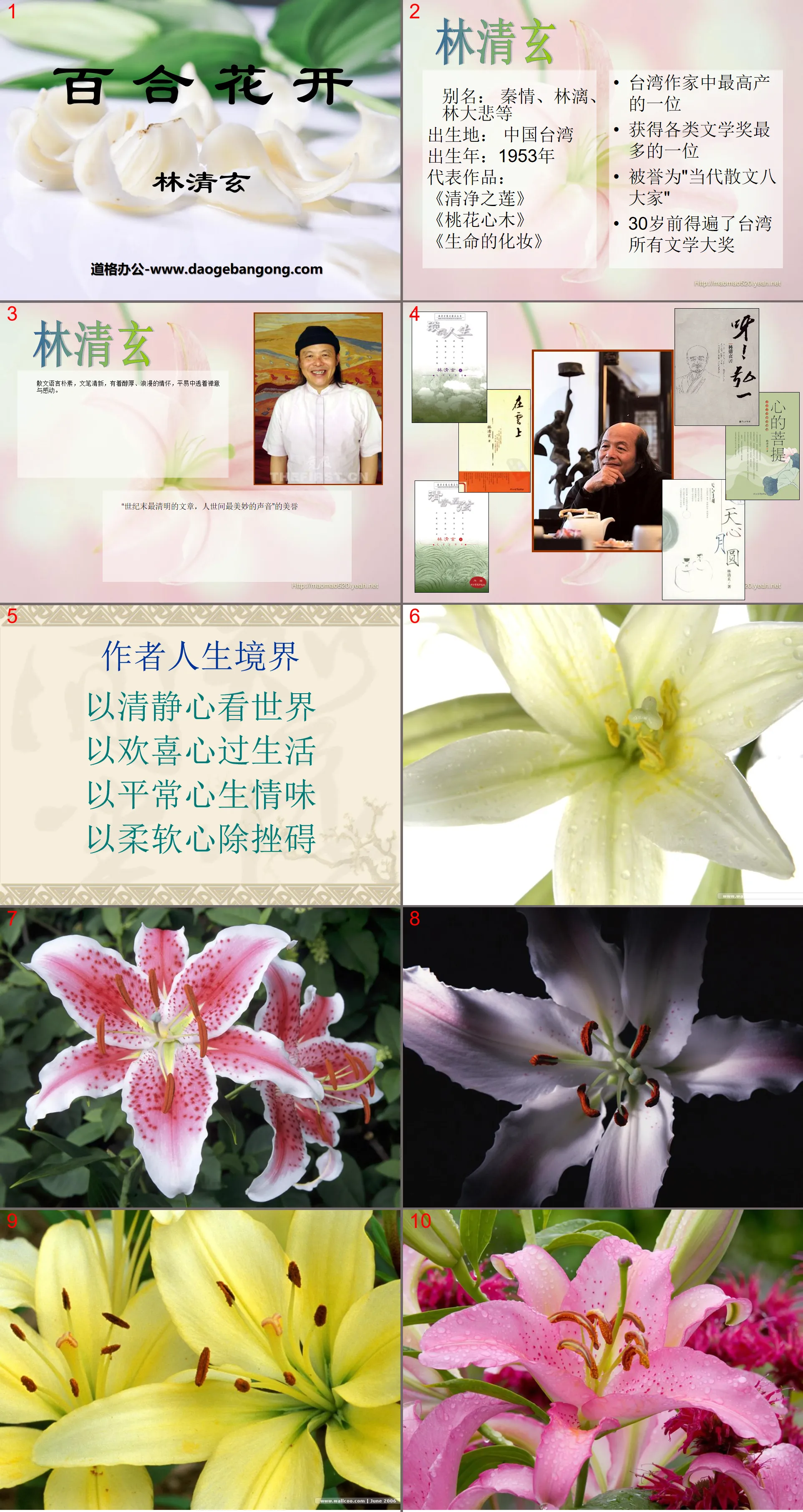 "Lily Blossoms" PPT courseware 2