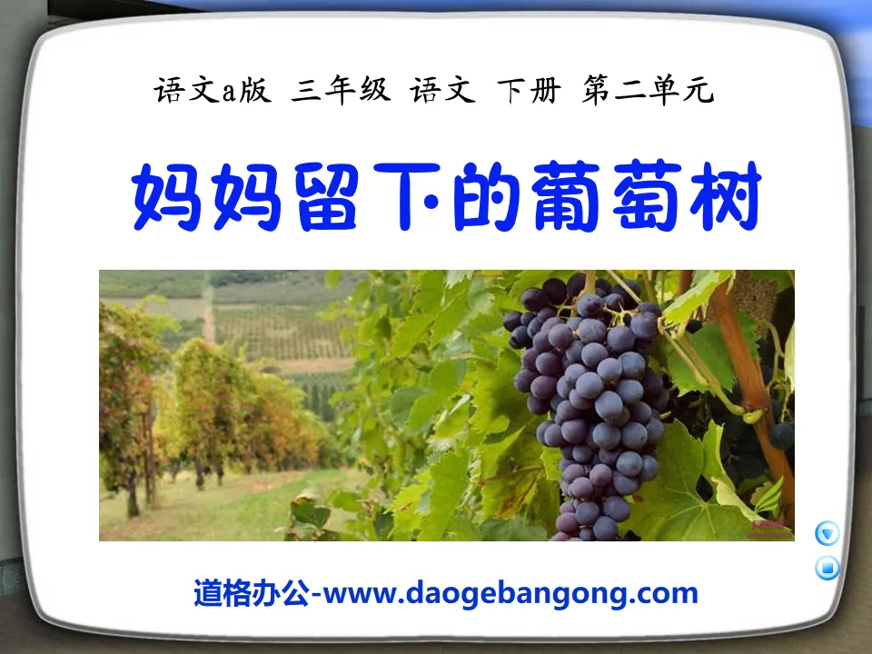 "The Grape Vine Left by Mom" ​​PPT Courseware 2