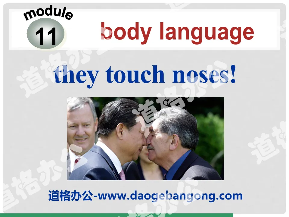《They touch noses》Body language PPT课件3
