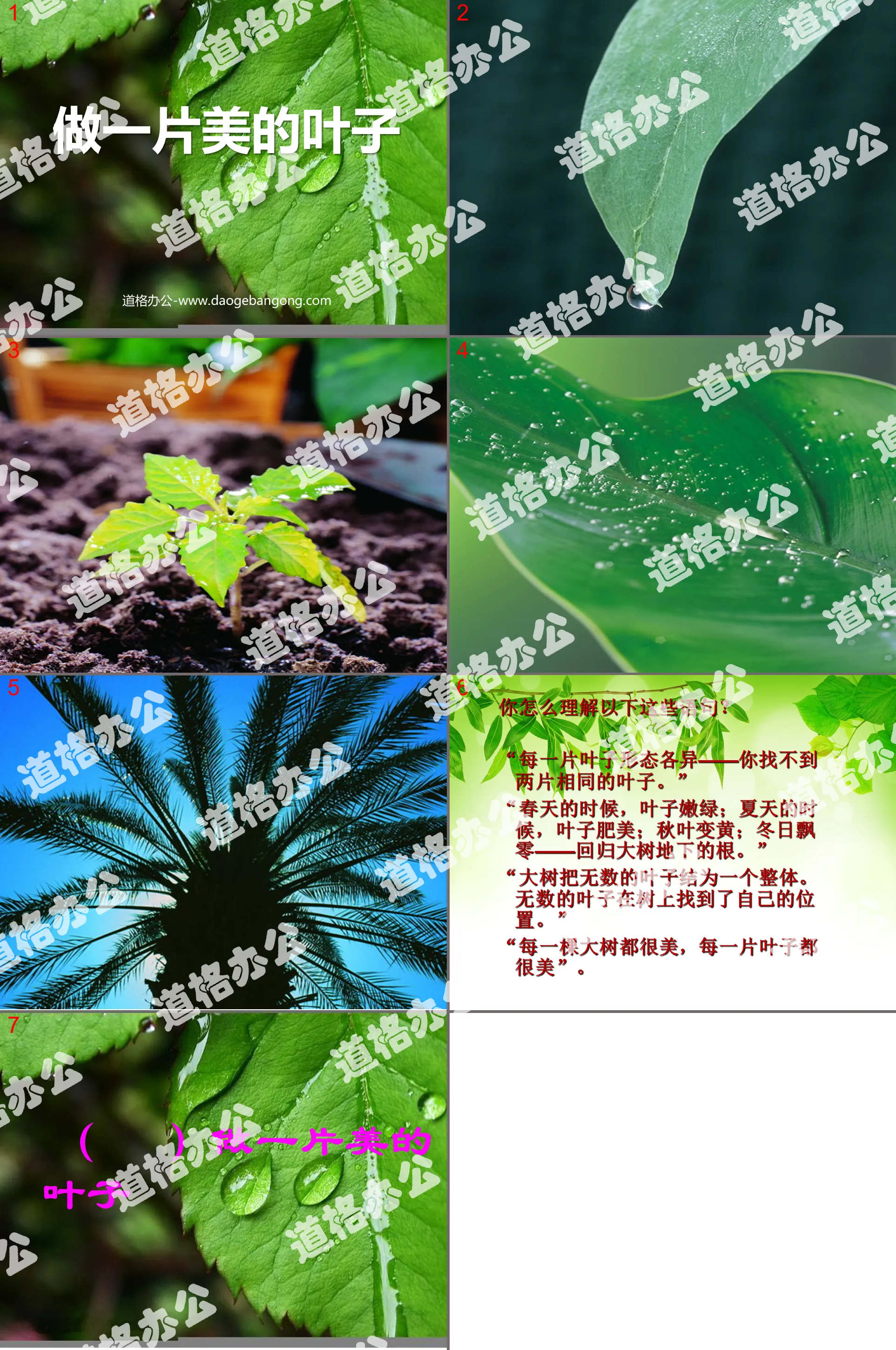 《做一片美的叶子》PPT课件2
