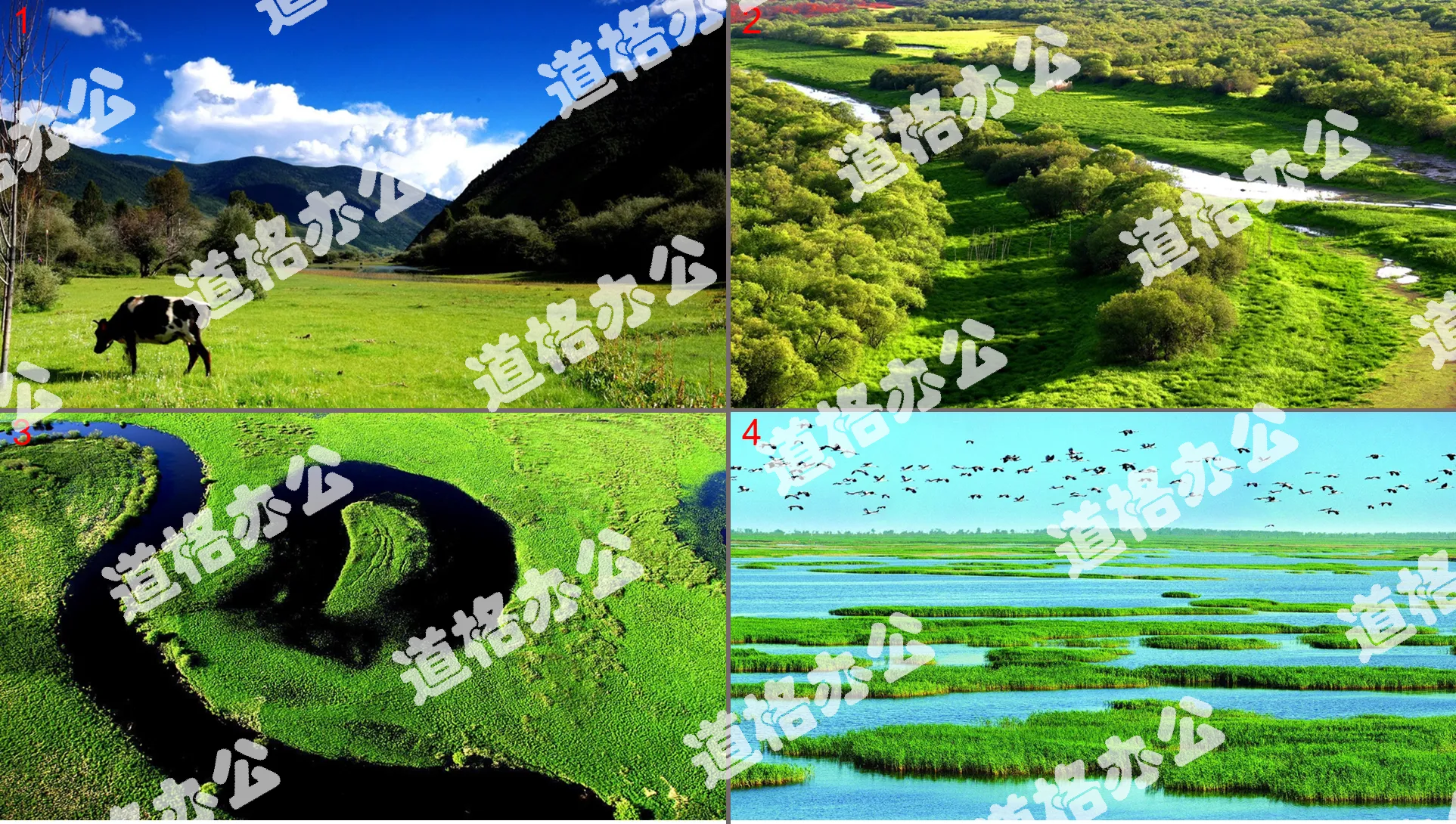 Four exquisite green nature ecological PPT background pictures