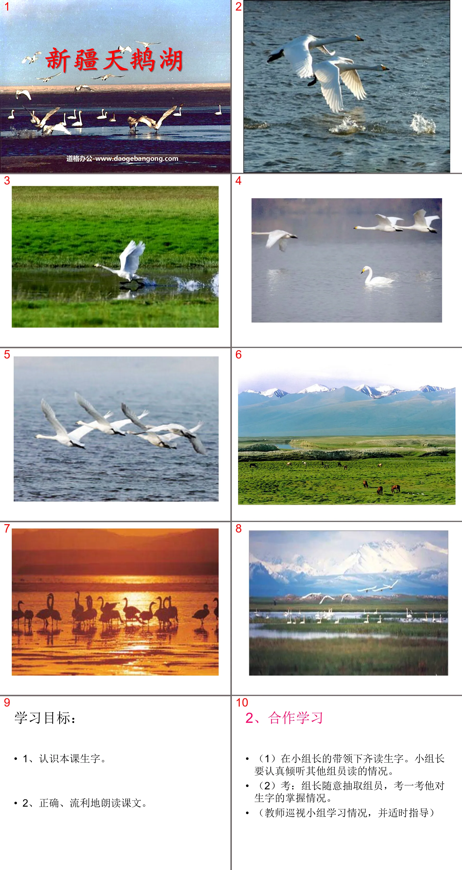 "Xinjiang Swan Lake" PPT courseware 4