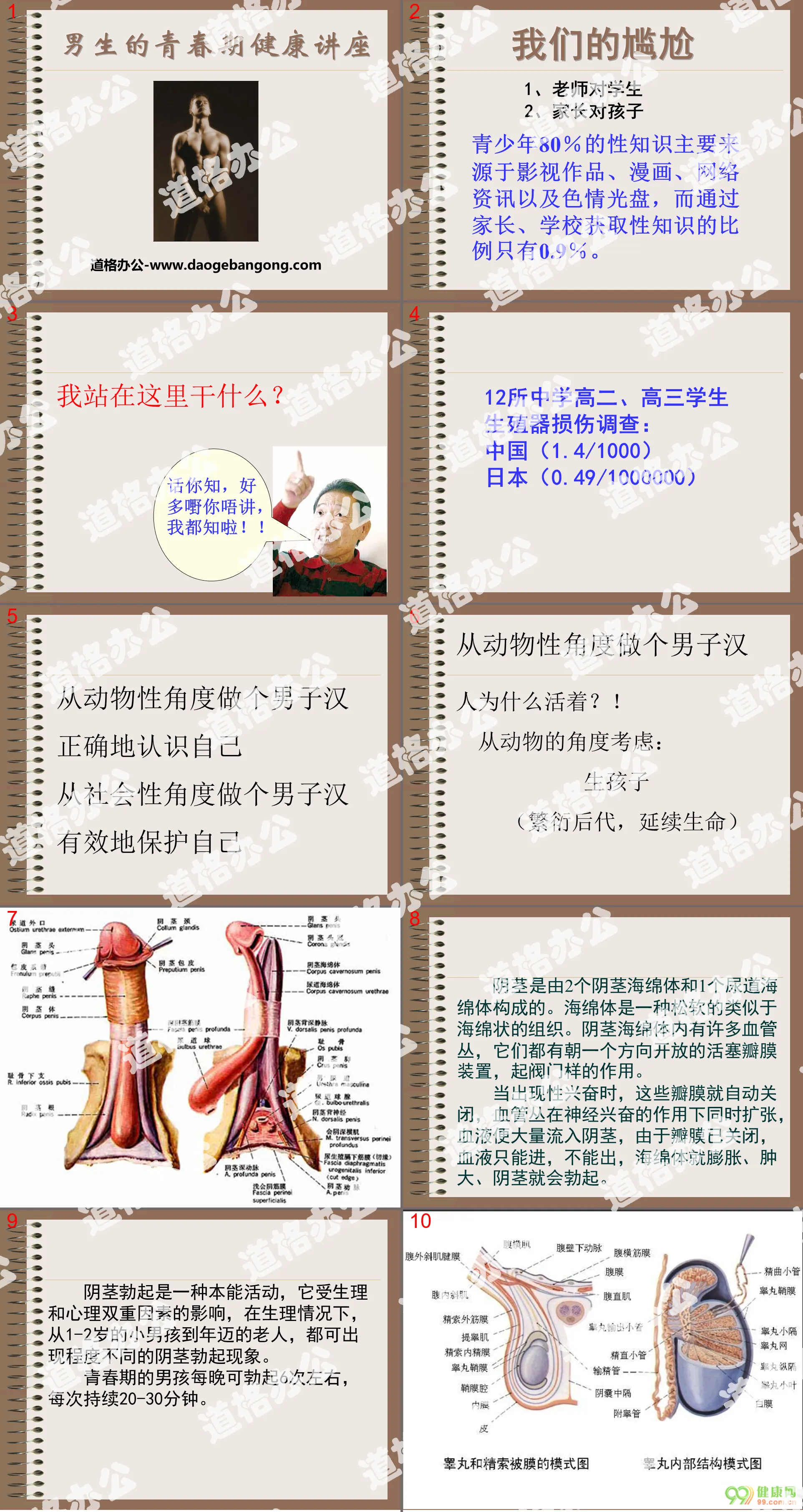 《男生的青春期健康讲座》PPT
