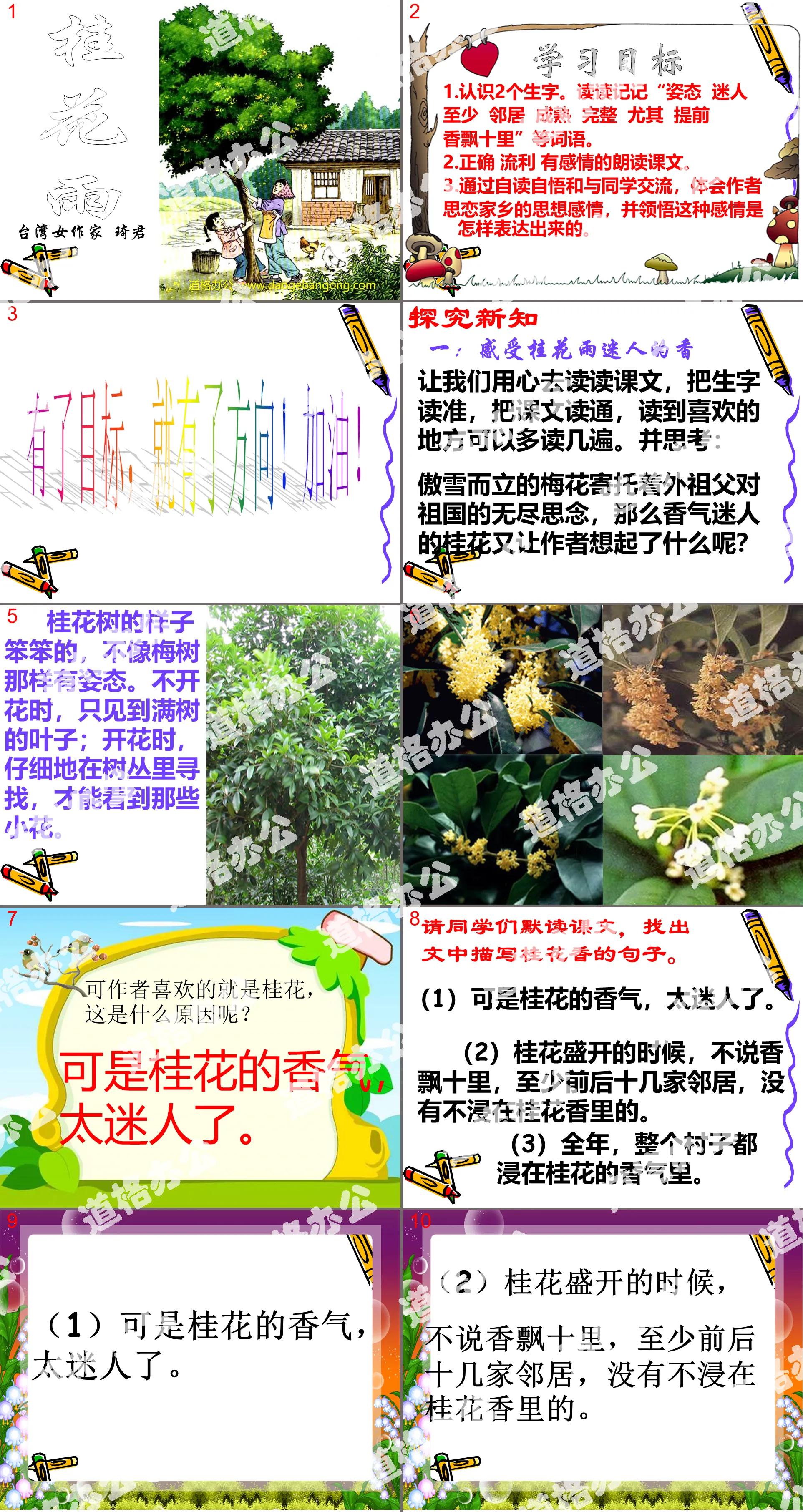 "Osmanthus Rain" PPT courseware download 5