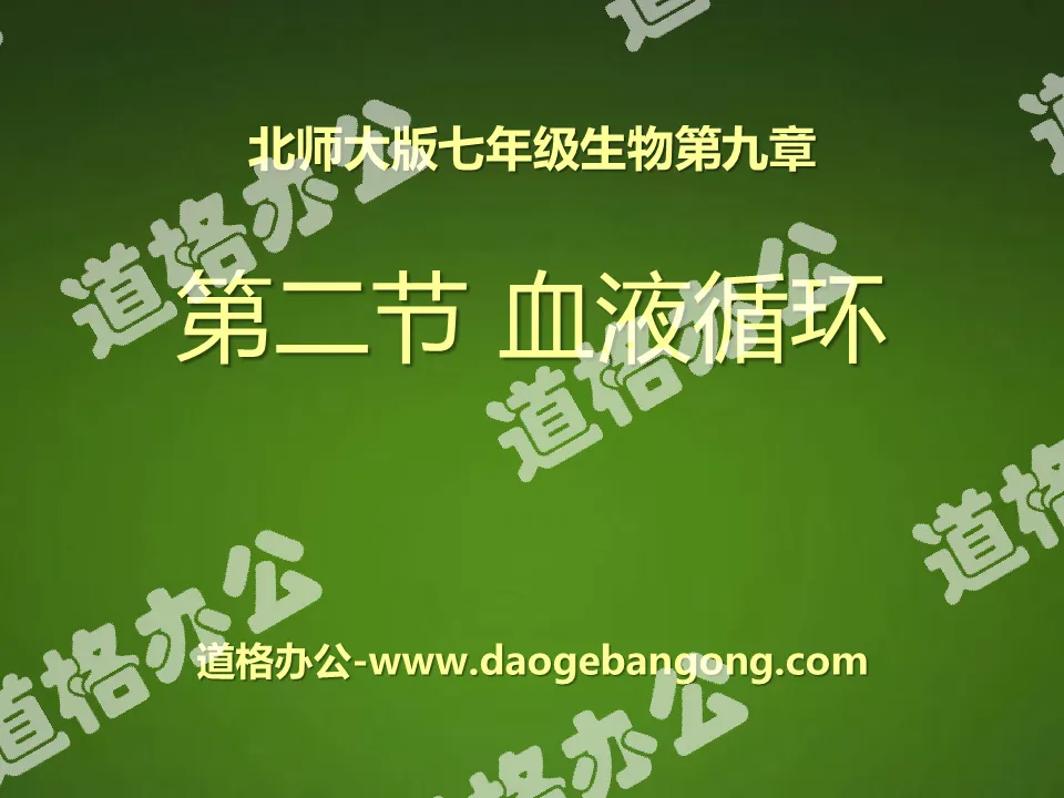 《血液循环》PPT课件