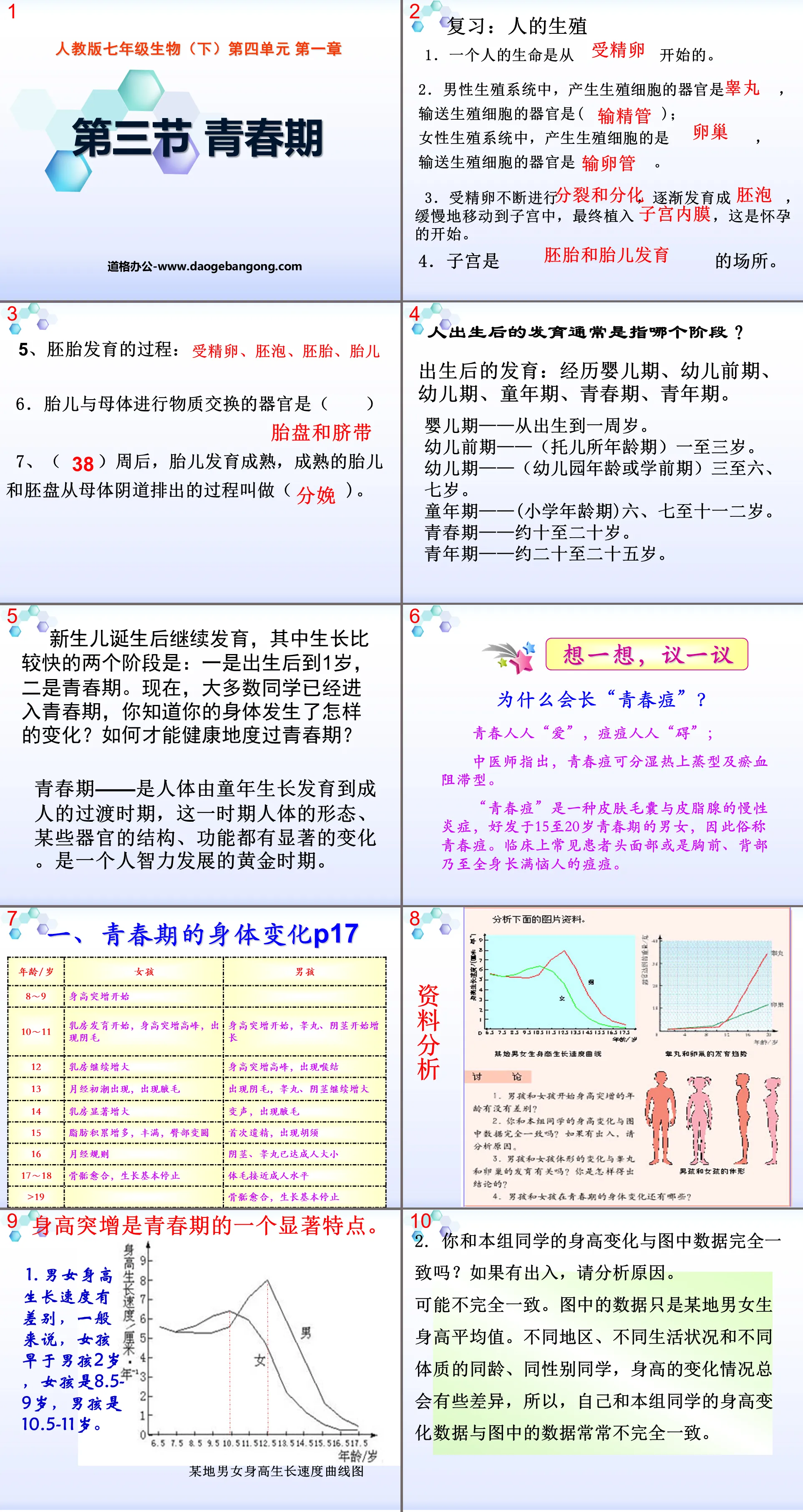 《青春期》人的由来PPT课件5
