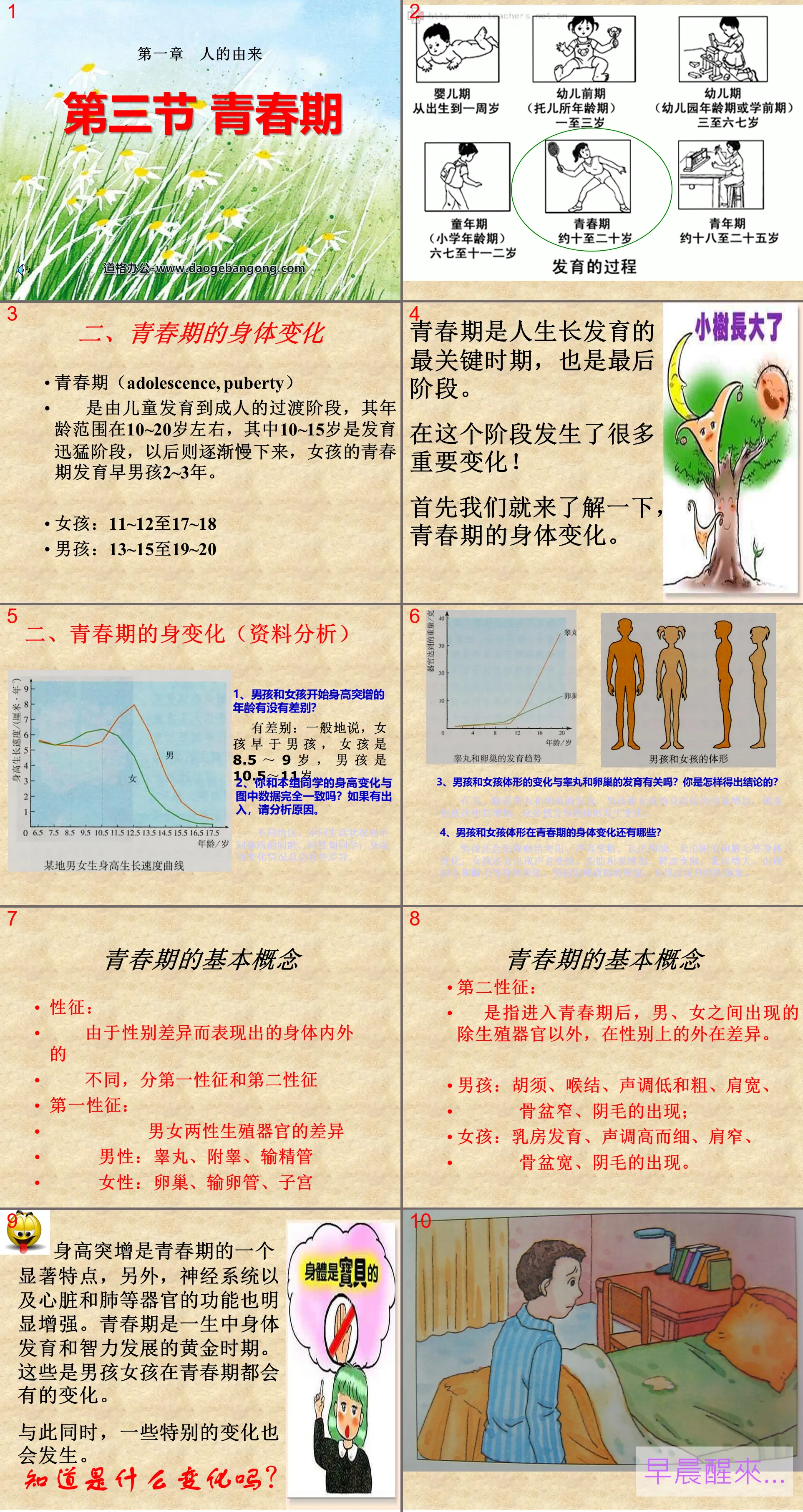 "Puberty" The Origin of Man PPT Courseware 3