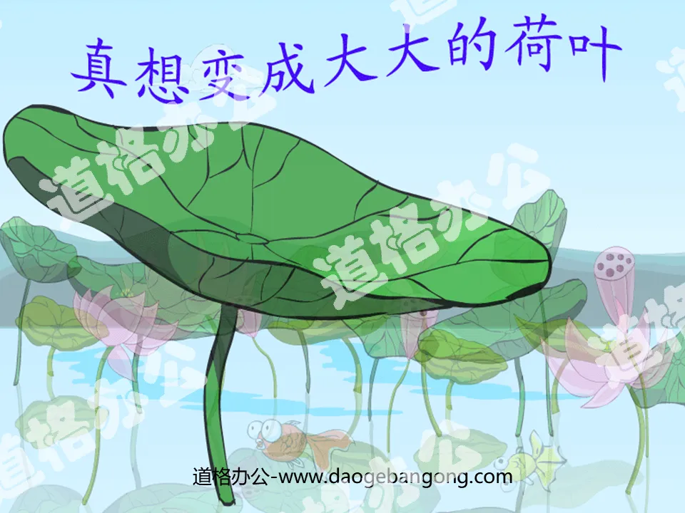 "I really want to become a big lotus leaf" PPT courseware 3