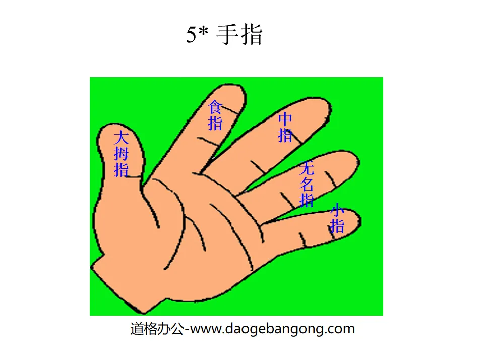 "Fingers" PPT courseware 3