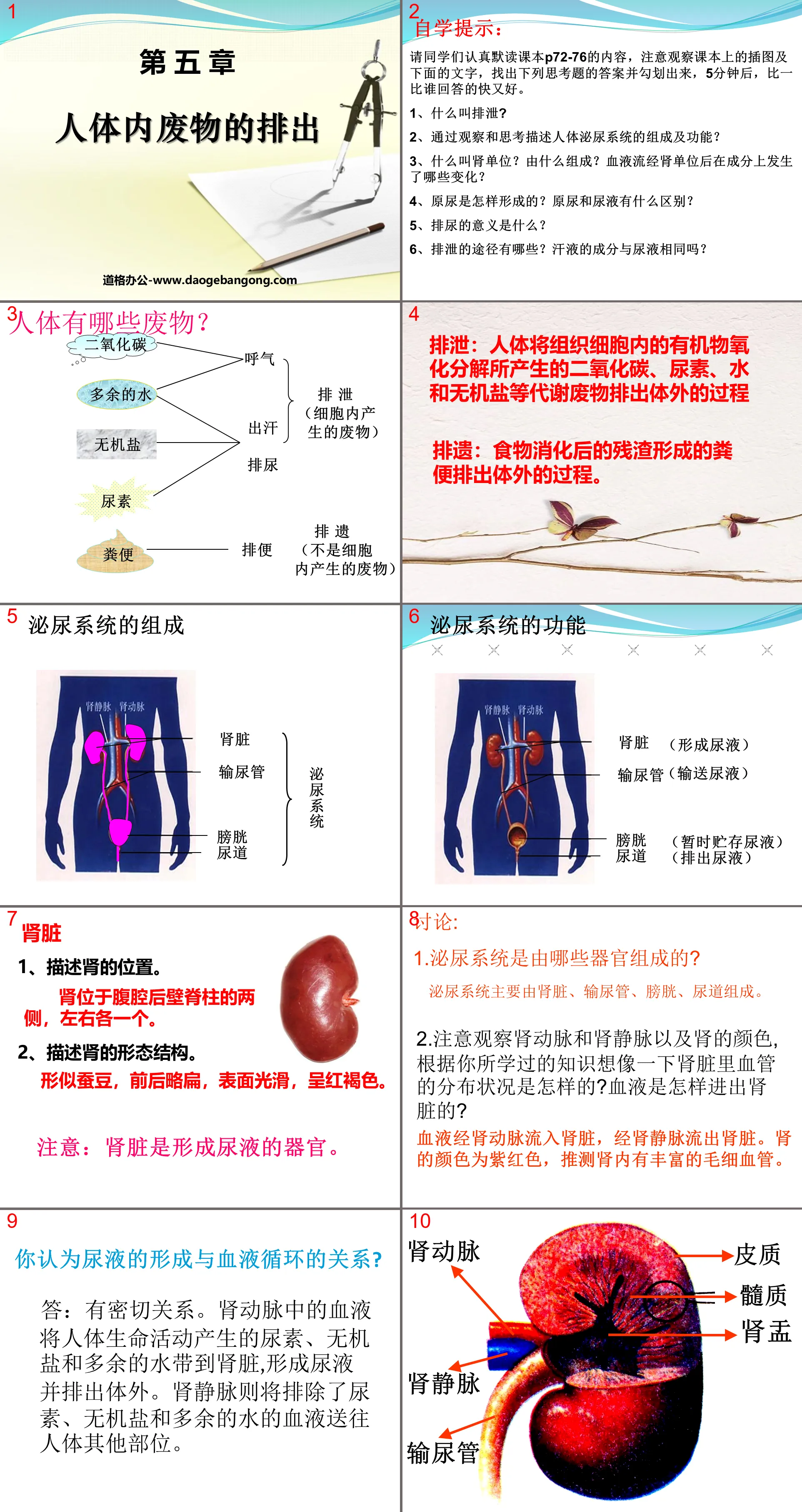 "Discharge of Waste from the Human Body" PPT Courseware 5