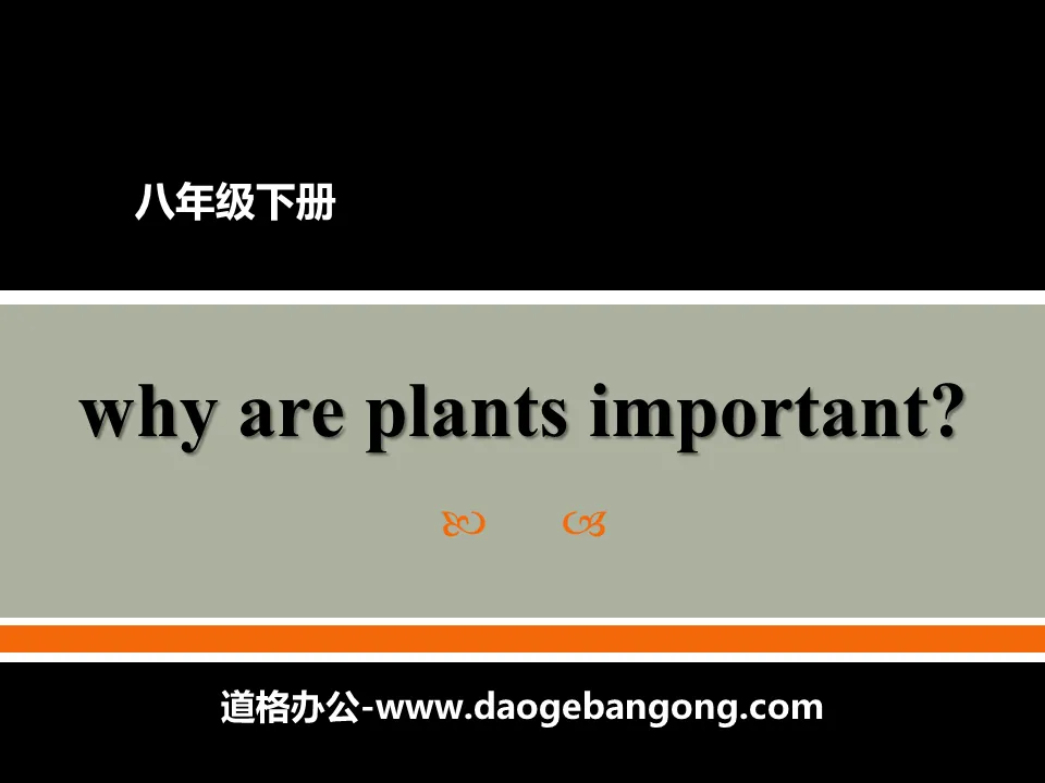 《Why Are Plants Important?》Plant a Plant PPT教學課件