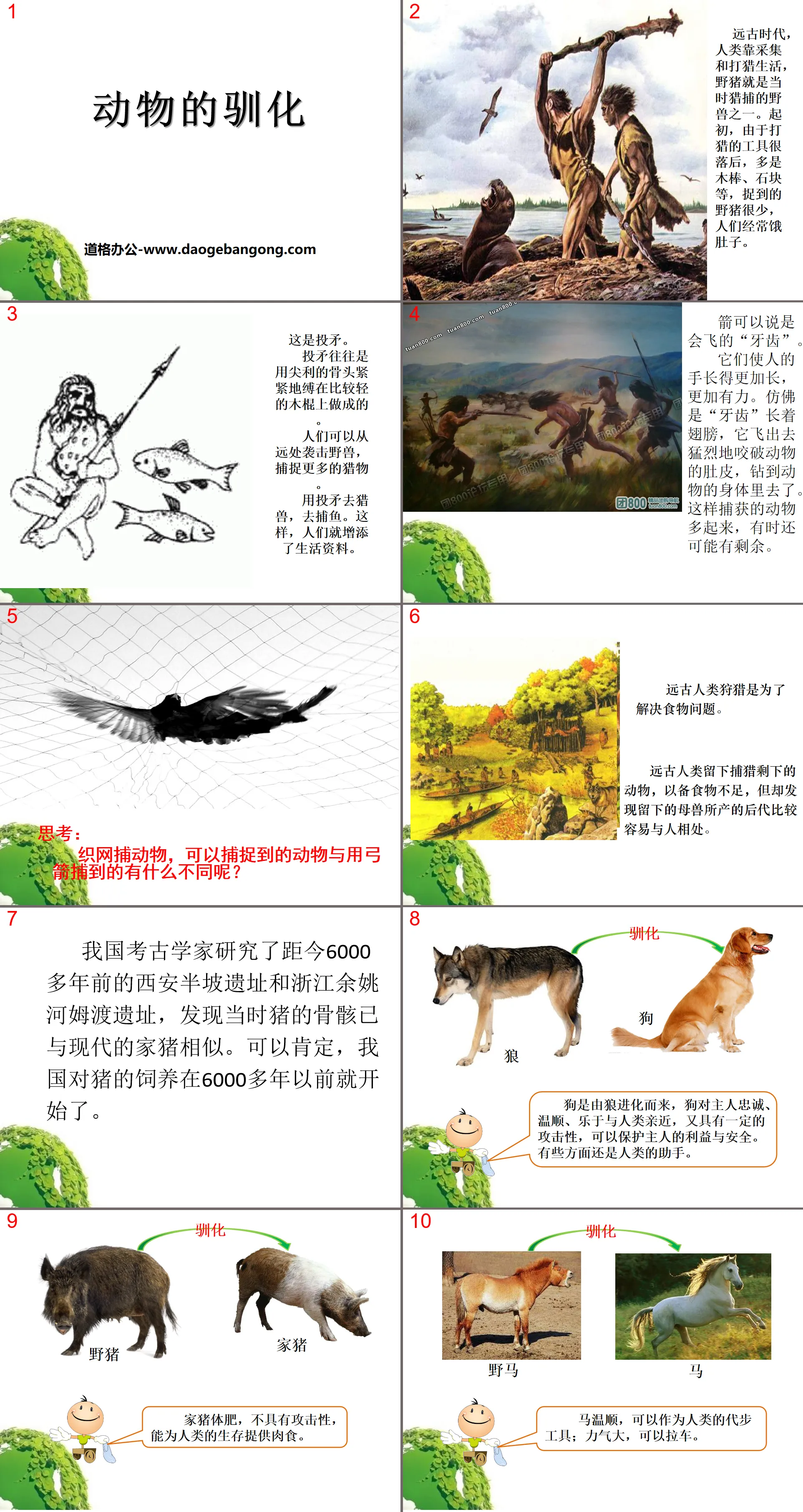 《 動物的馴化 》PPT