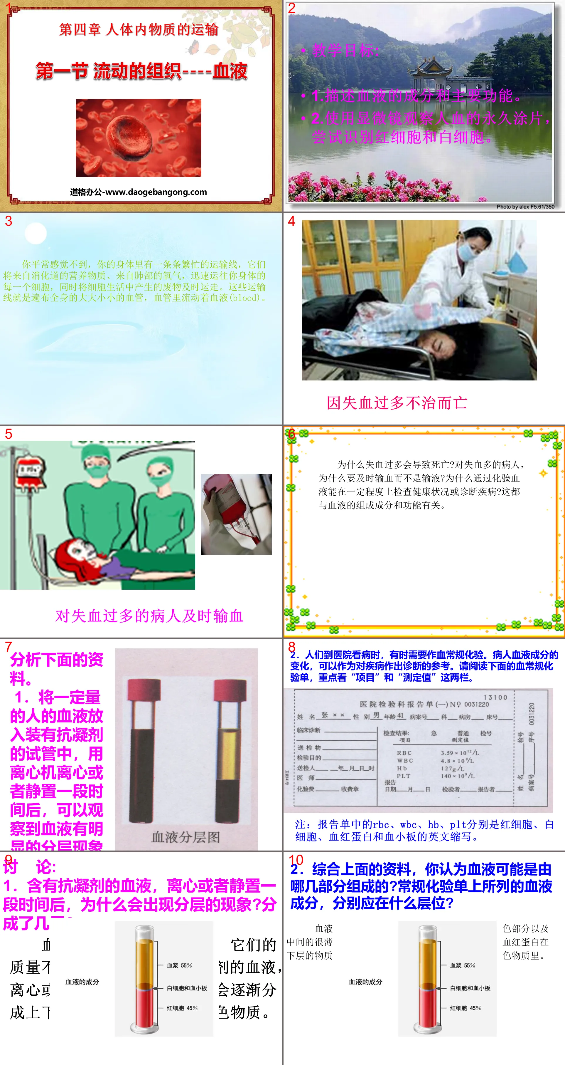 "Flowing Tissue-Blood" Transportation of Materials in the Human Body PPT Courseware