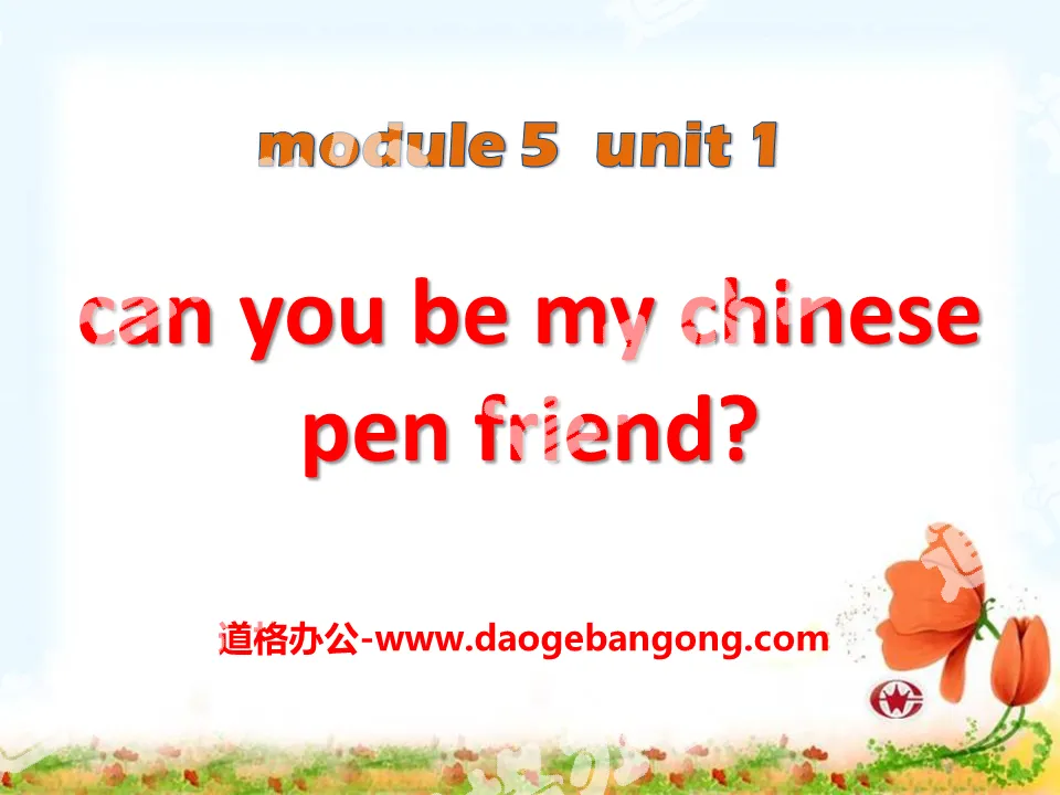 《Can you be my Chinese pen friend》PPT课件2
