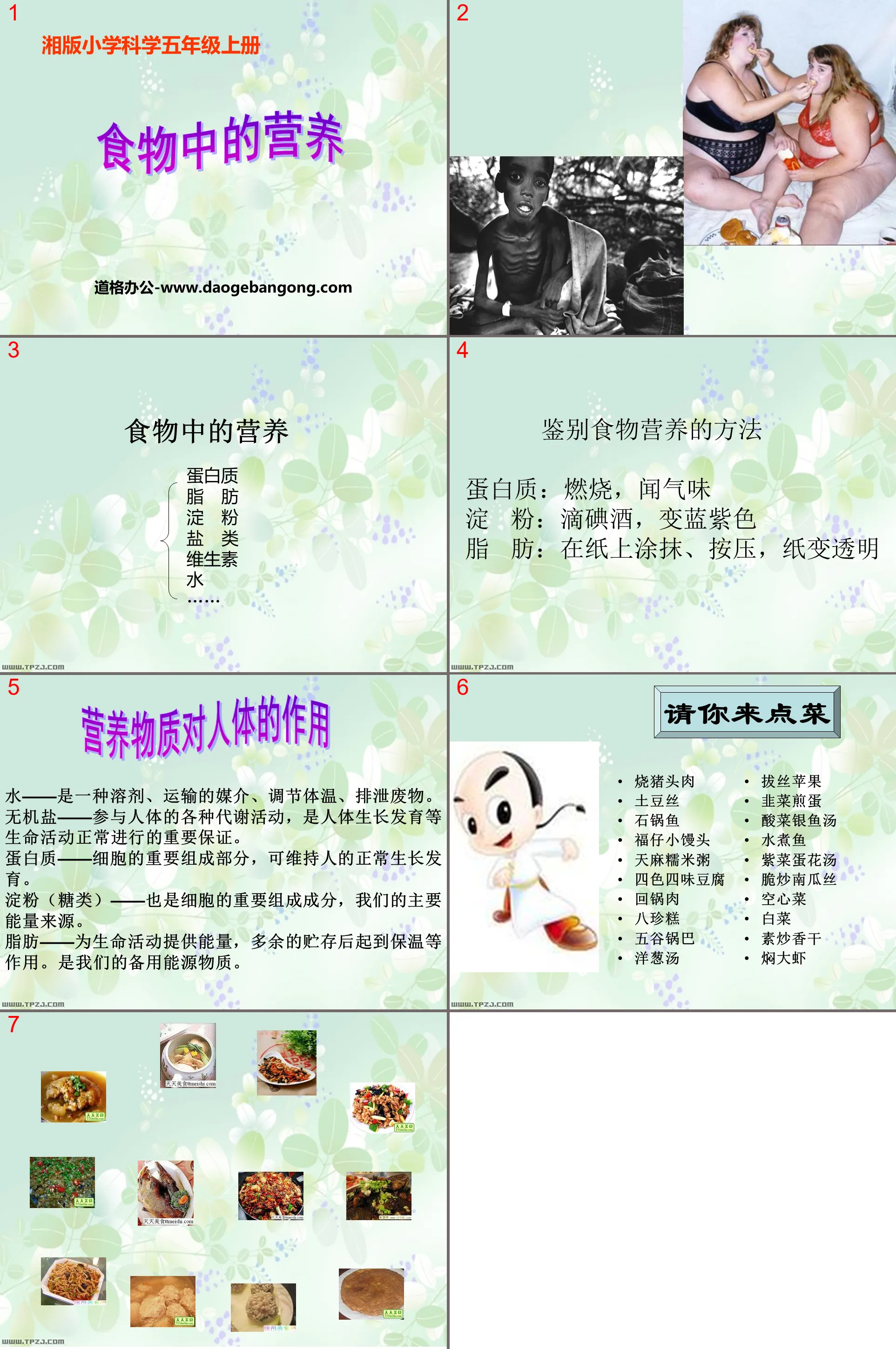 《 食物中的营养 》PPT