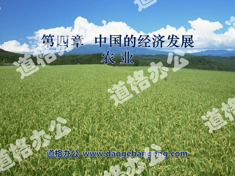《农业》中国的经济发展PPT课件4
