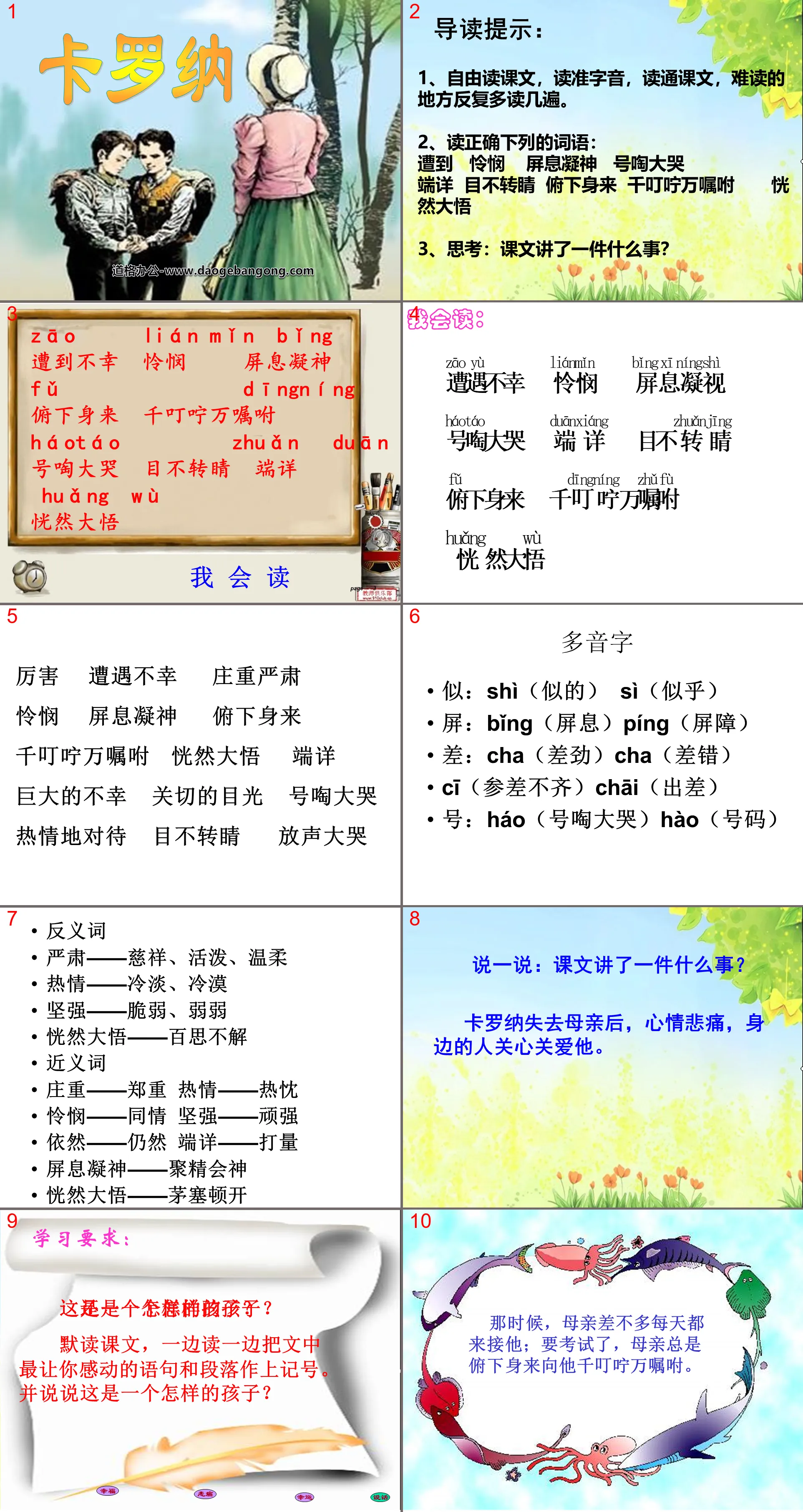 《卡羅納》PPT課件6