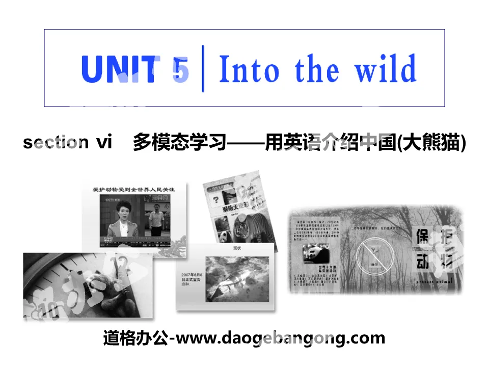 "Into the wild" Section Ⅵ PPT courseware