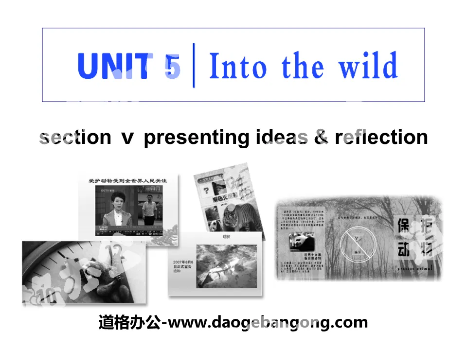 "Into the wild" Section V PPT courseware