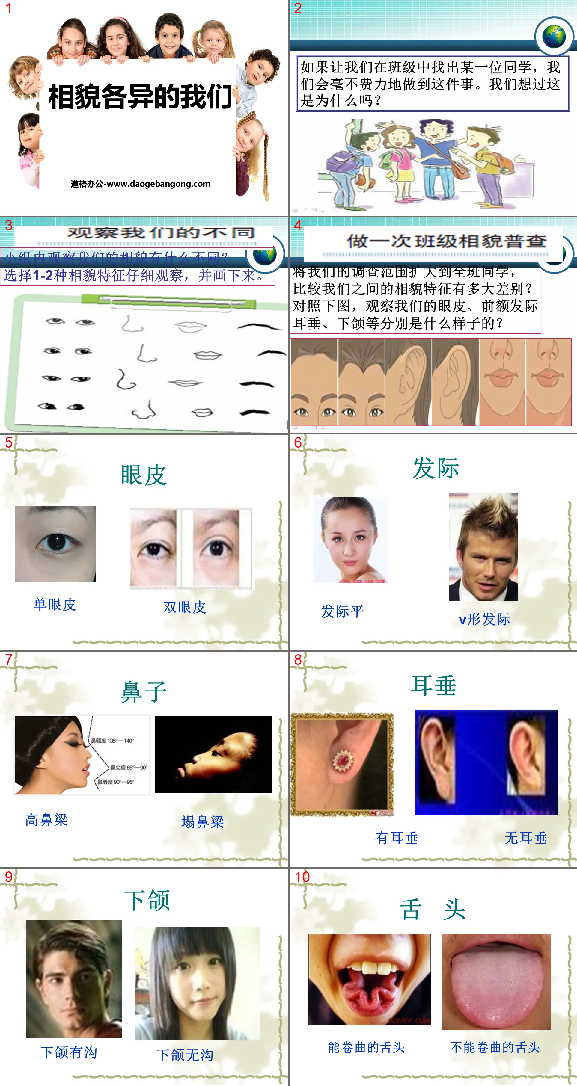 "We Have Different Appearances" Biological Diversity PPT Courseware 2