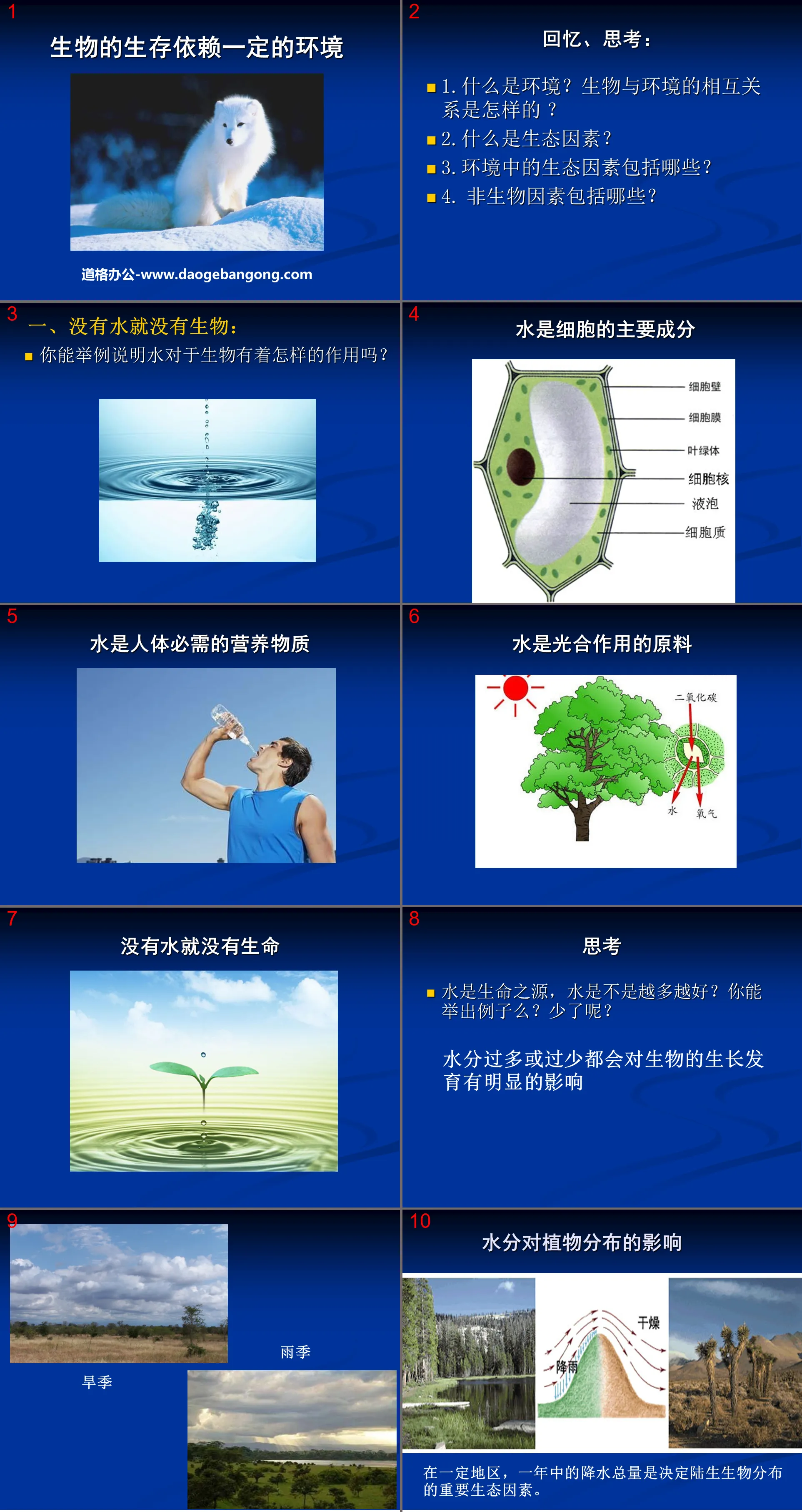 "The survival of living things depends on a certain environment" PPT courseware