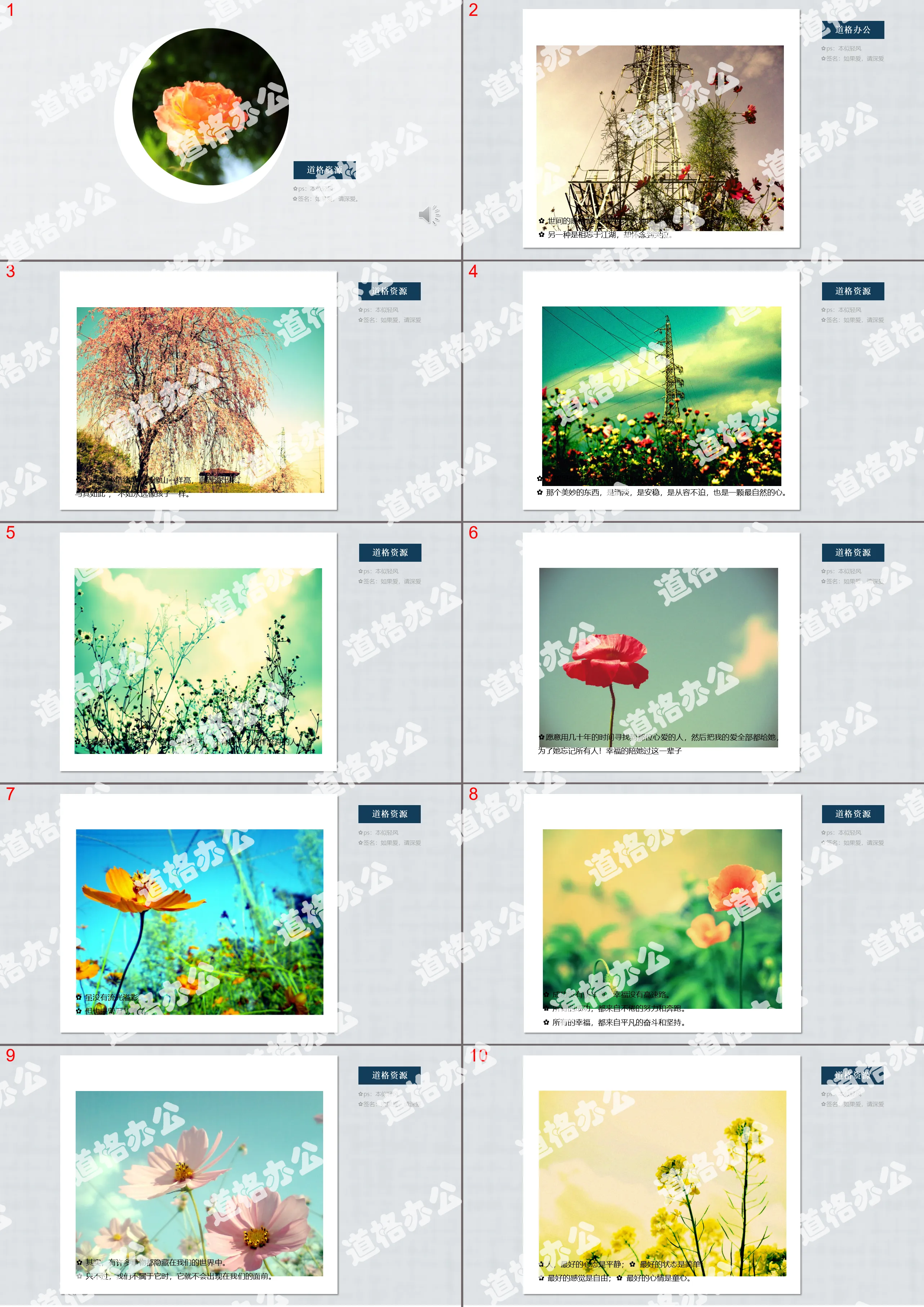 Flower dynamic plant background PPT template with background music