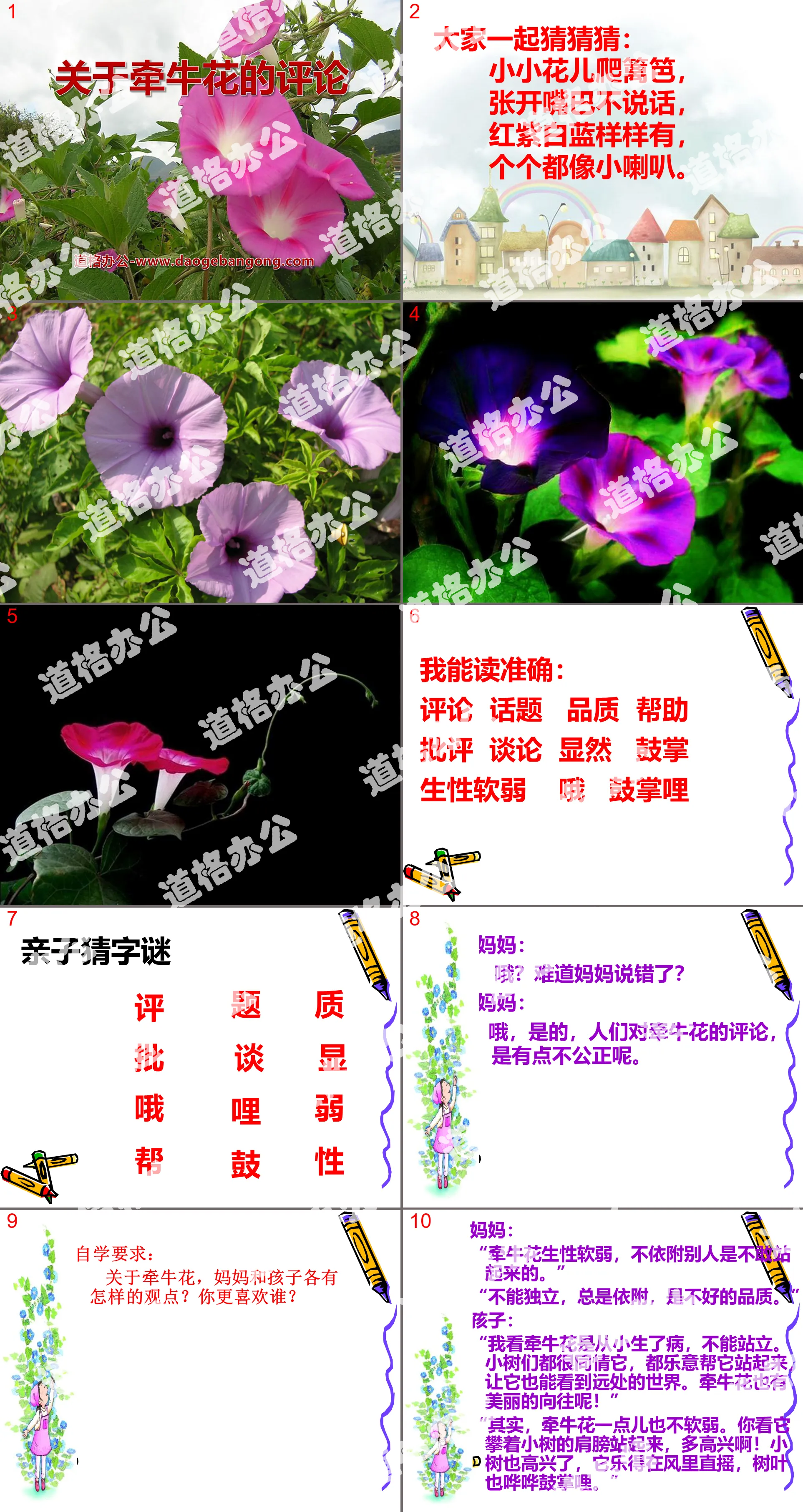 《关于牵牛花的评论》PPT课件2
