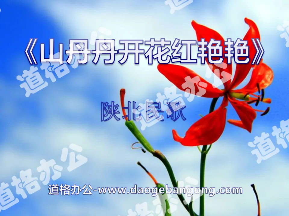 《山丹丹開花紅豔》PPT課件4