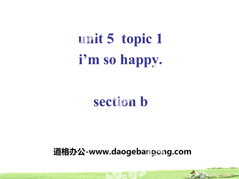"I'm so happy"SectionB PPT