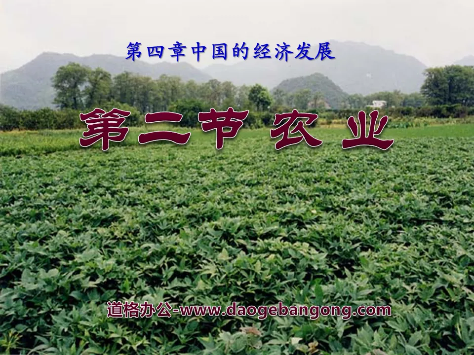 "Agriculture" China's economic development PPT courseware 6