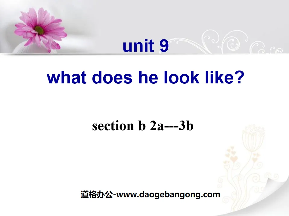 "What does he look like?" PPT courseware 2