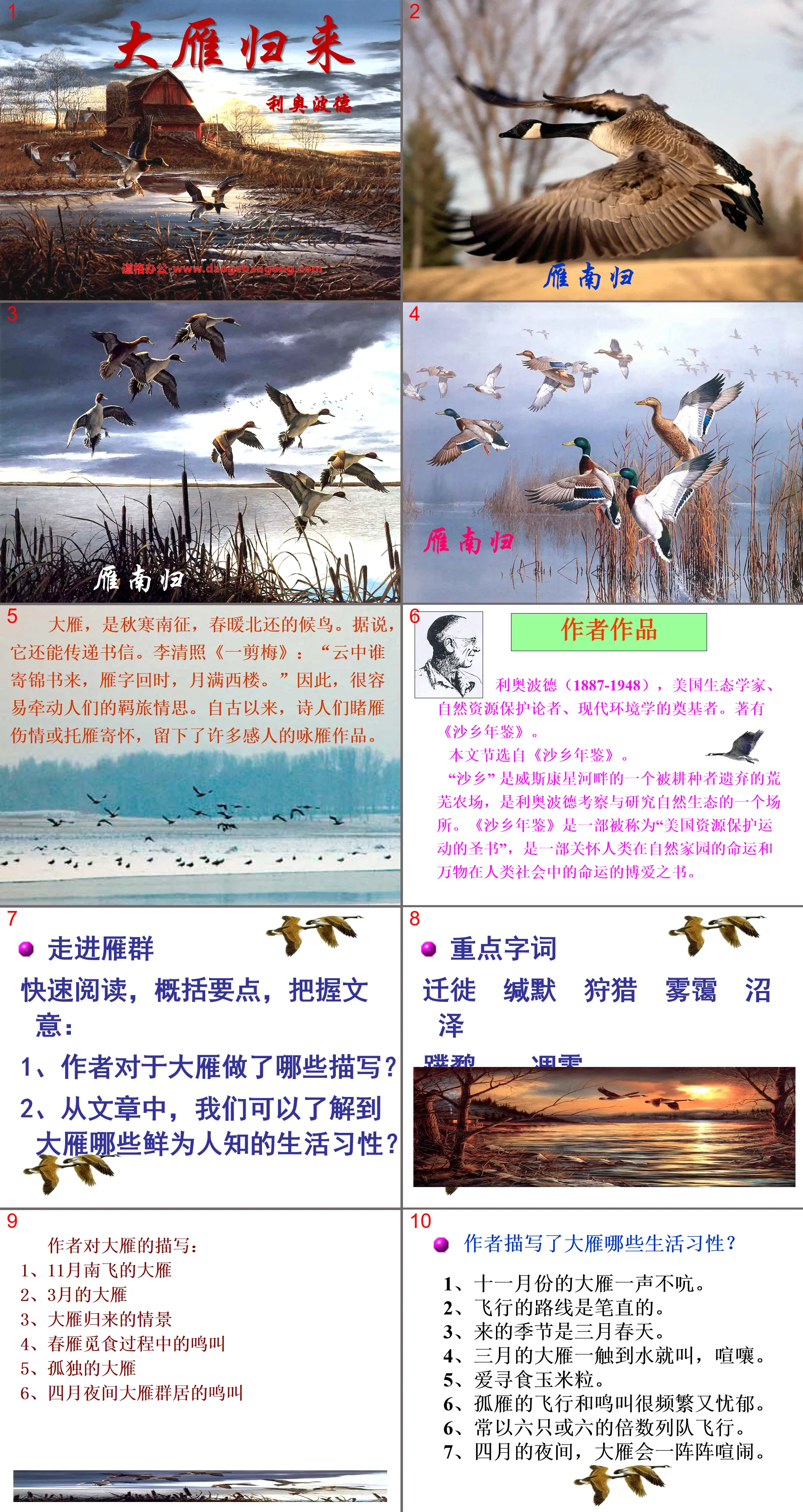 "The Return of the Wild Geese" PPT Courseware 7