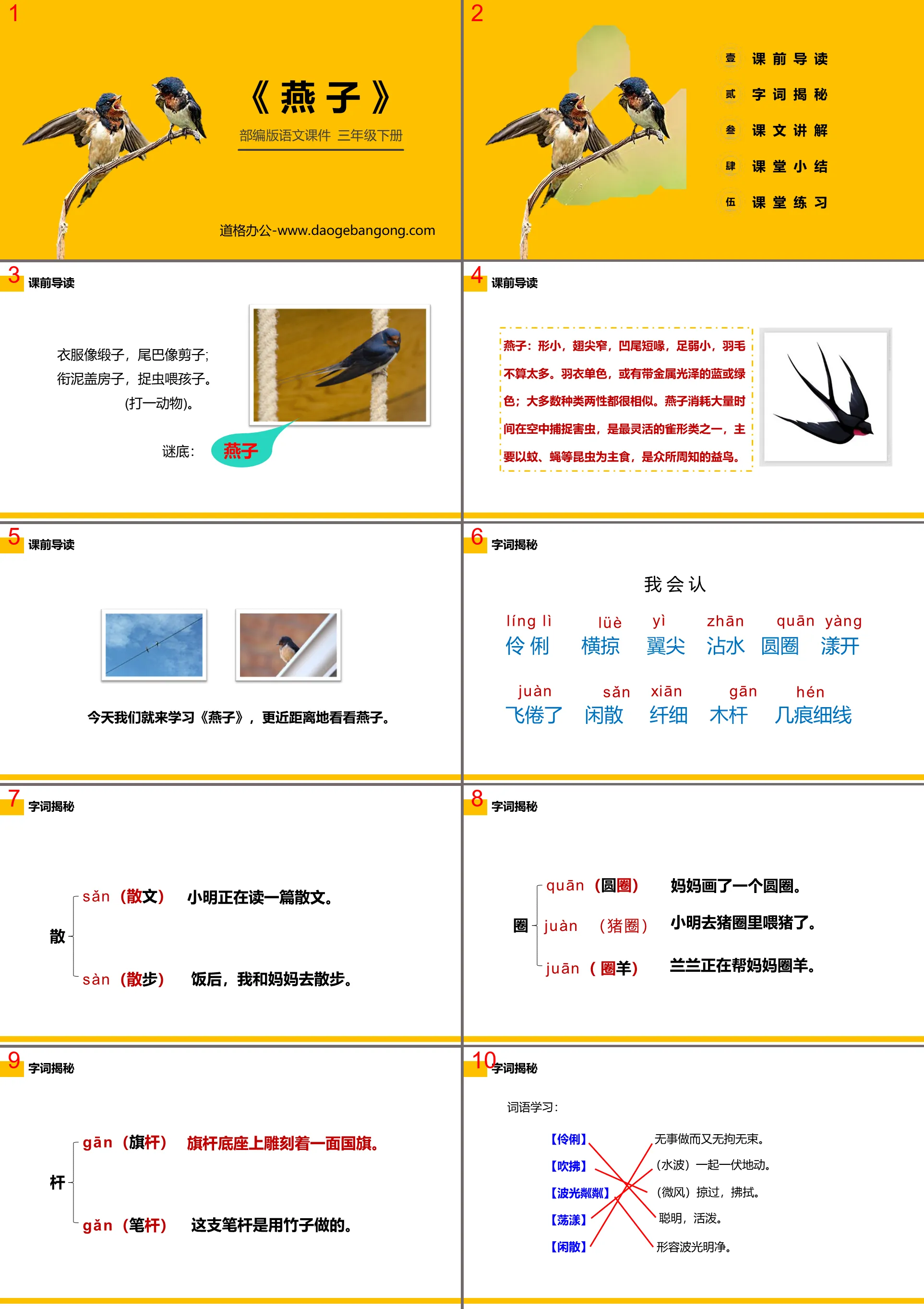 "Swallow" PPT courseware free download