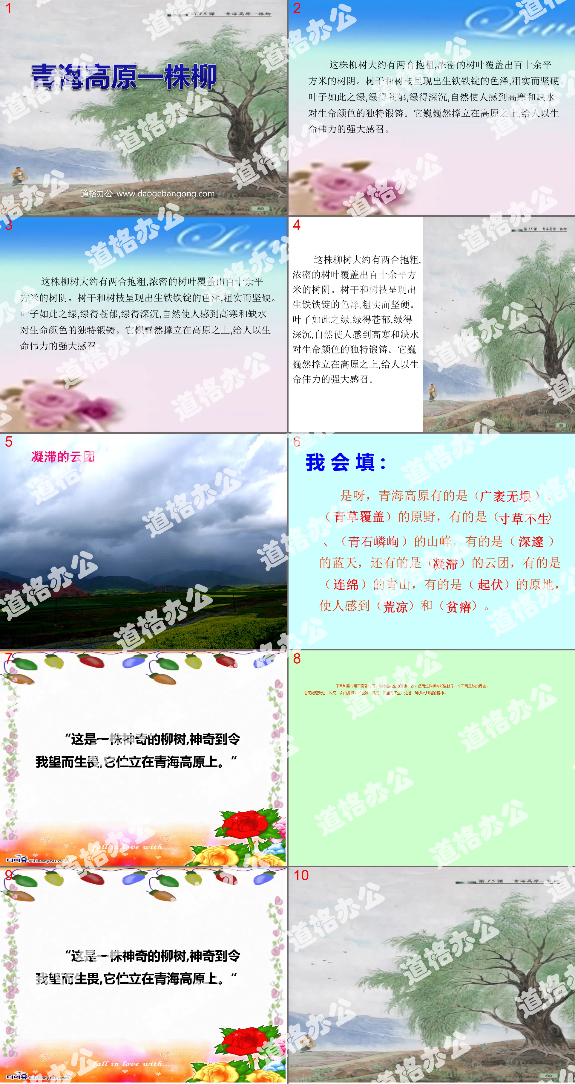 "A Willow on the Qinghai Plateau" PPT courseware