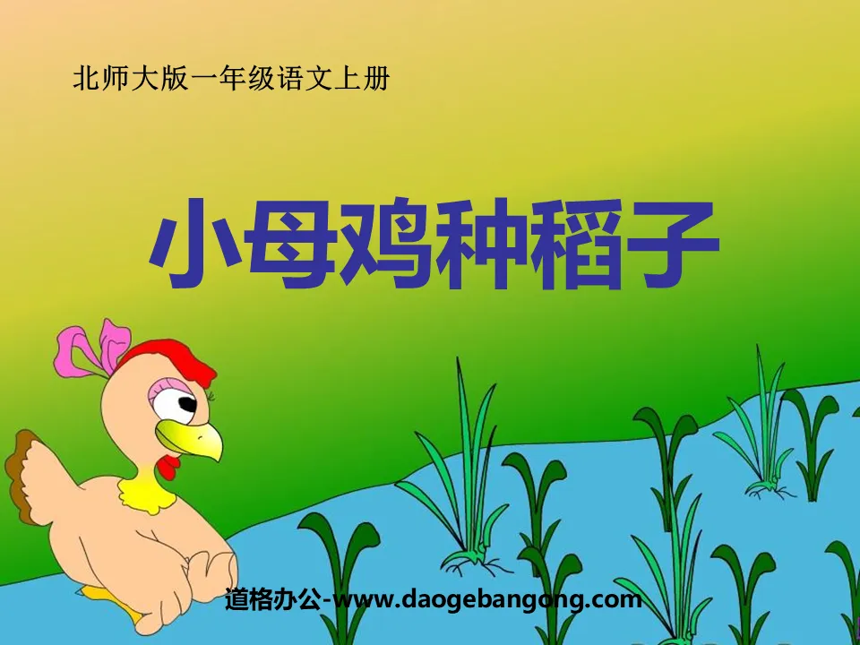 "Little Hen Plants Rice" PPT courseware