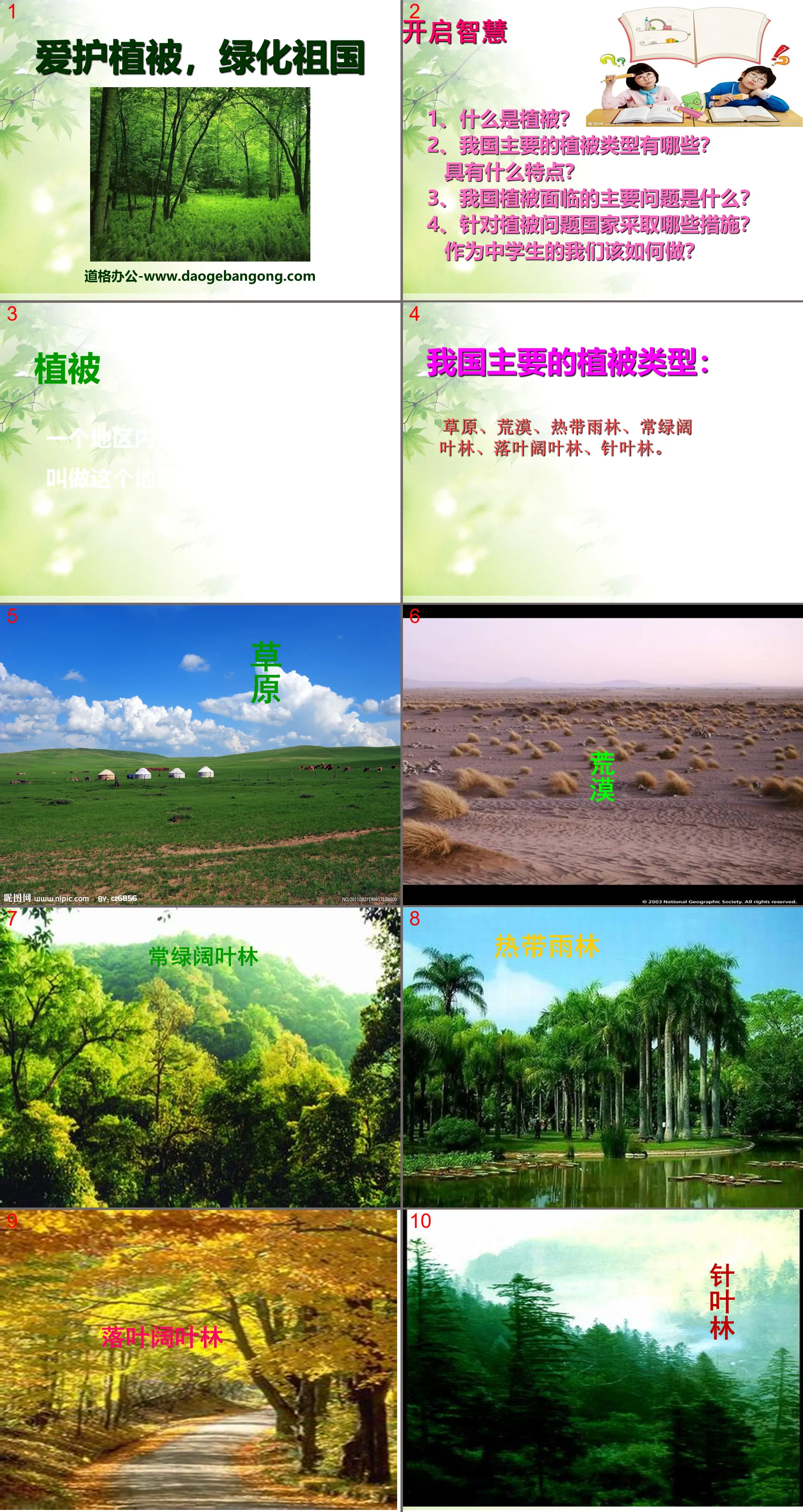 "Care for vegetation and green the motherland" PPT courseware 5