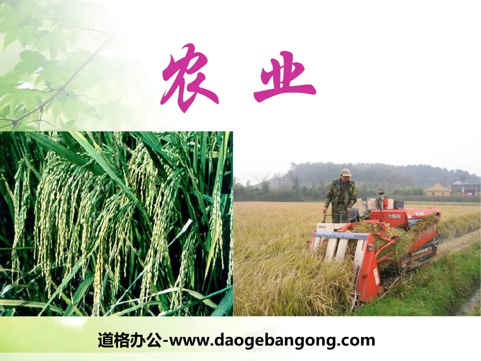 "Agriculture" Développement économique de la Chine Didacticiel PPT 8