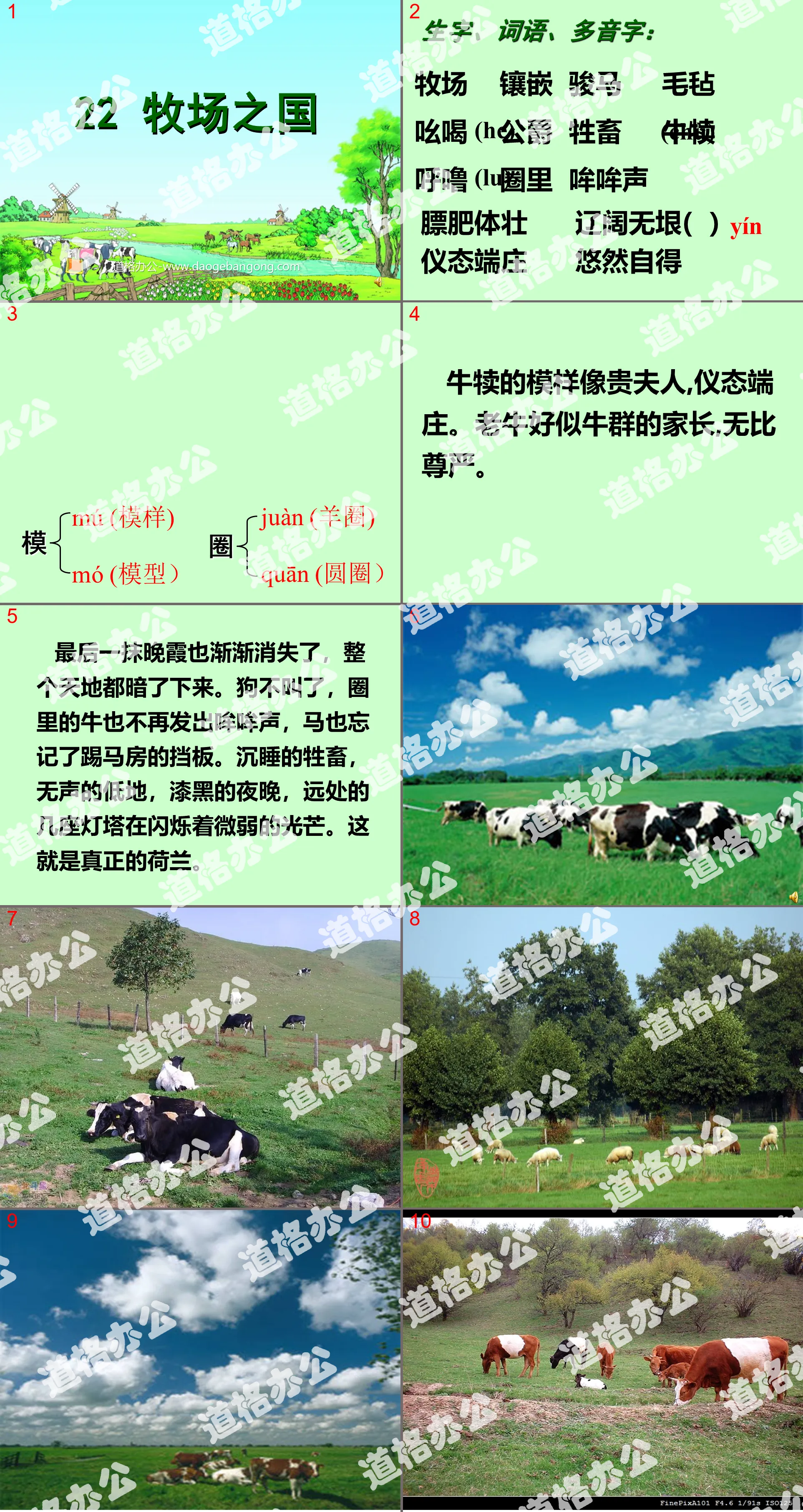 "Pasture Country" PPT courseware