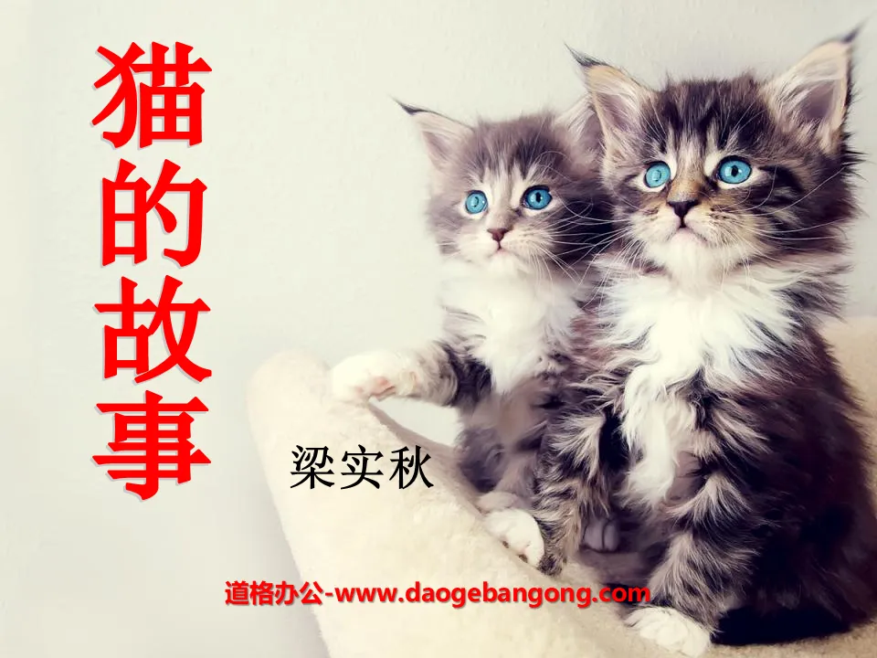 《猫的故事》PPT课件2