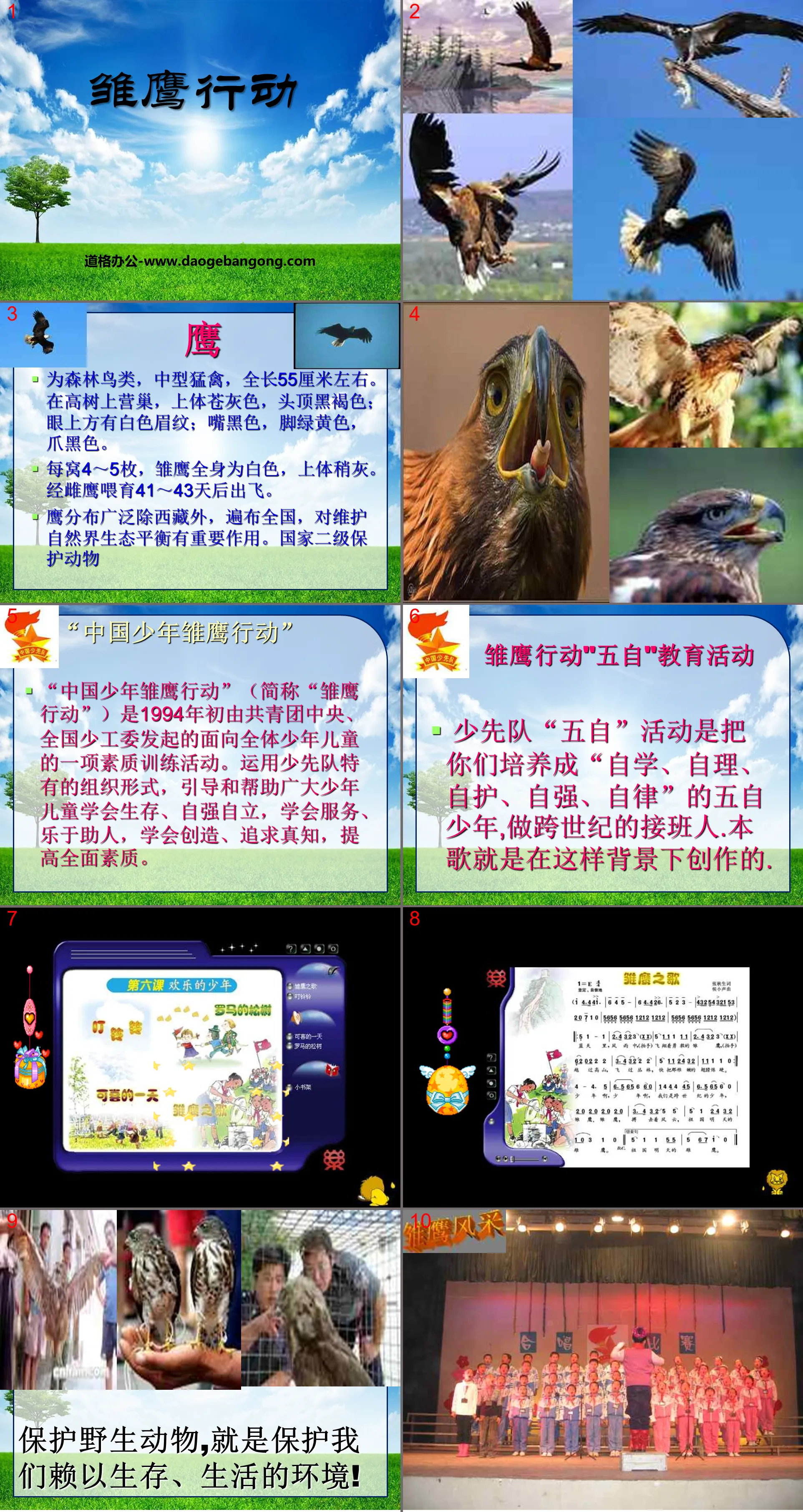 《雏鹰之歌》PPT课件
