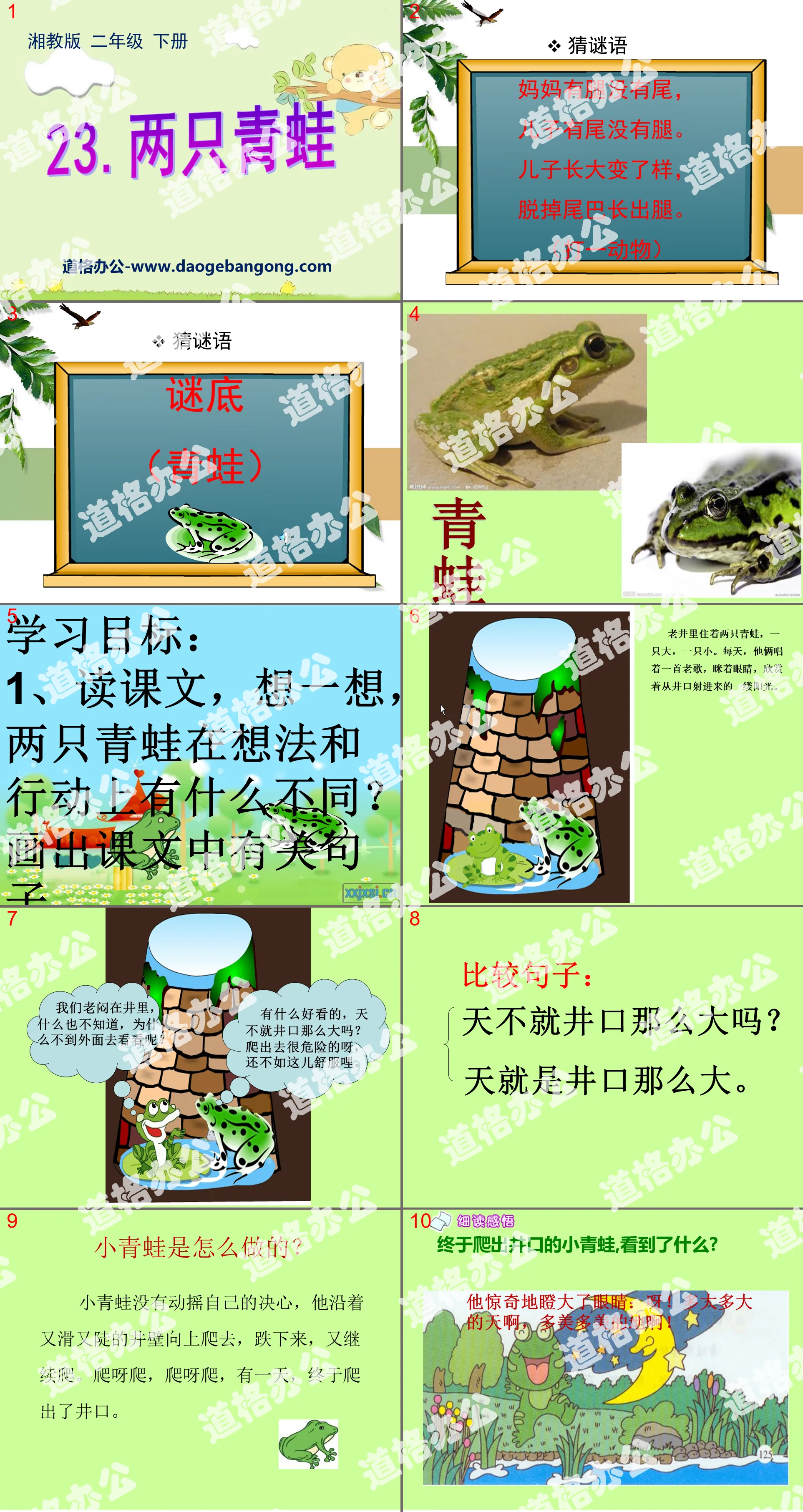 "Two Frogs" PPT courseware 2