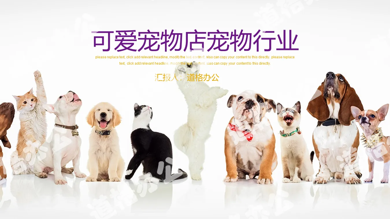 Dogs and cats line up background pet PPT template